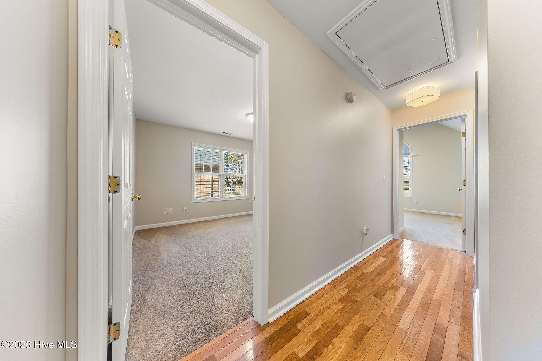 100554180 | Photo 37