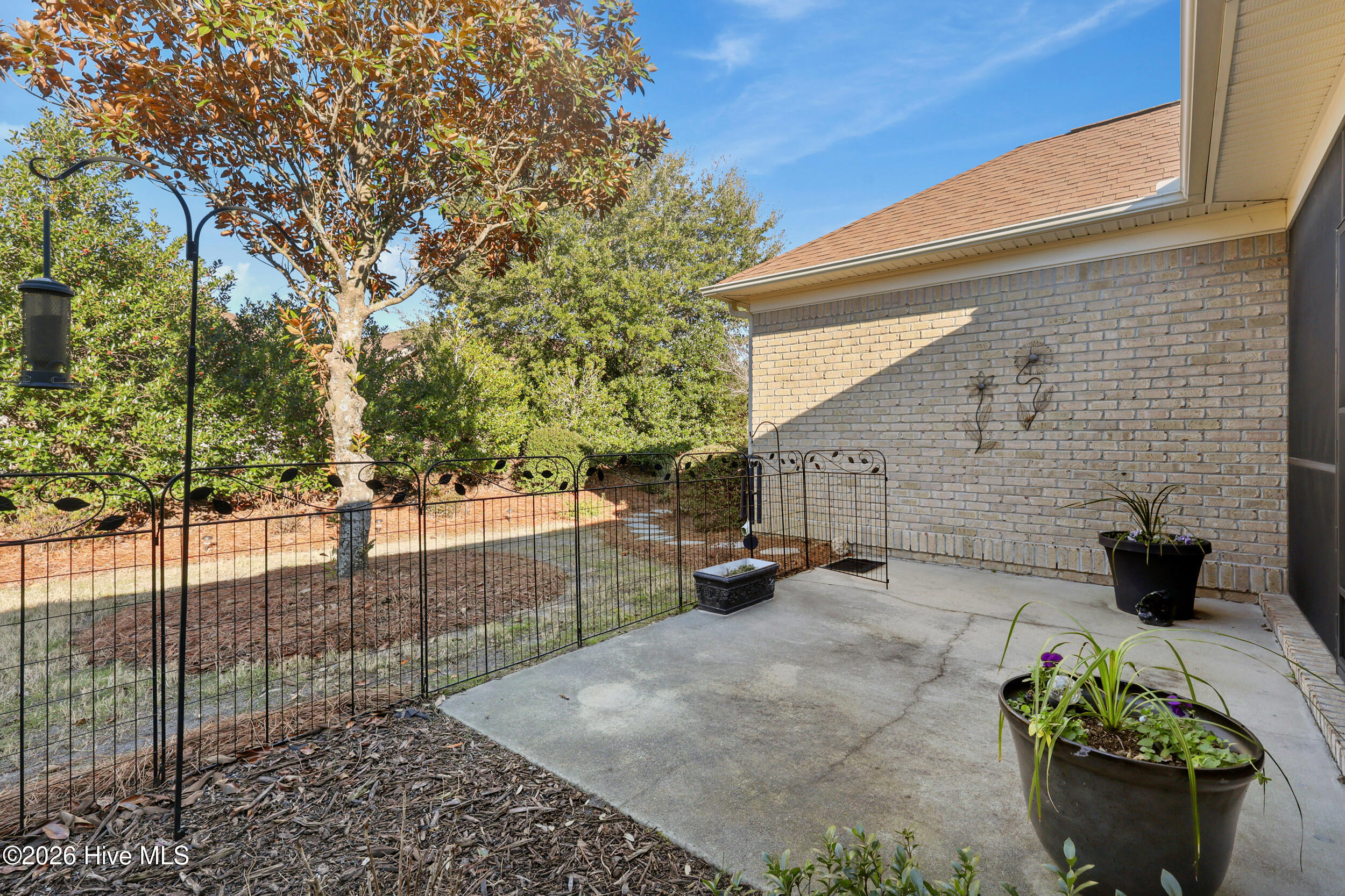 100551949 | Photo 15