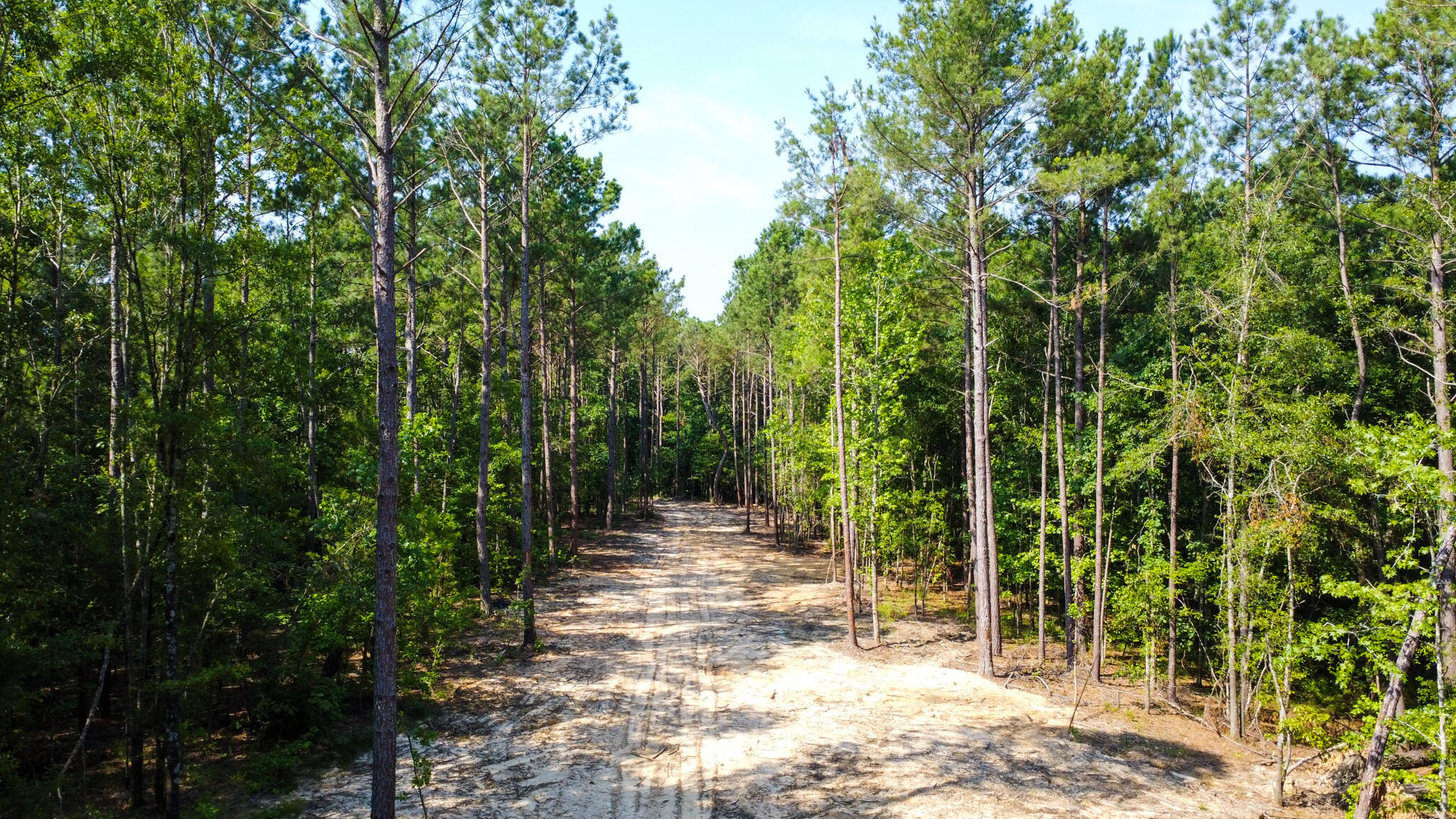 0 Backway Road, Lincolnton, GA, 30817