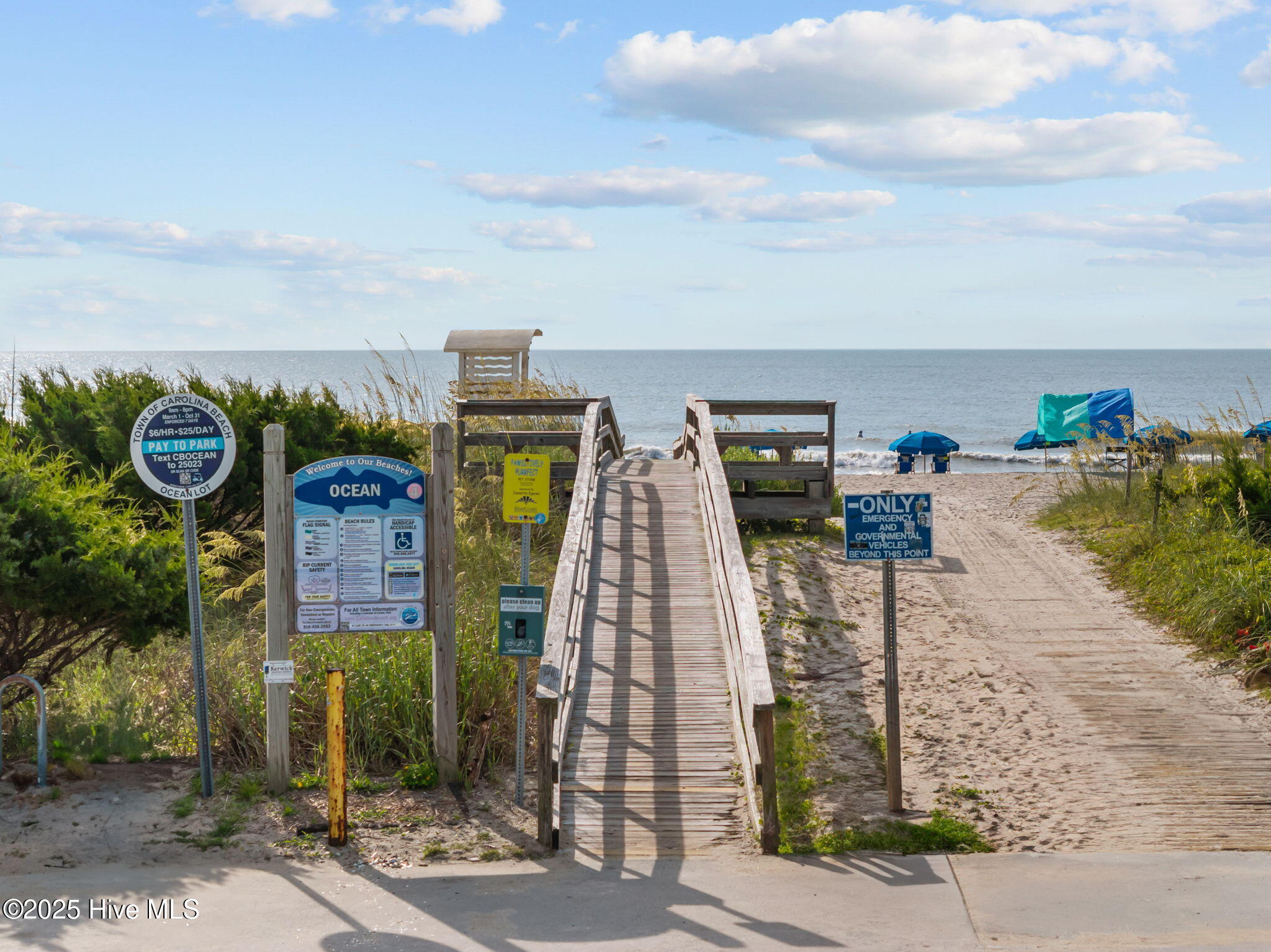 100518077 | Photo 56