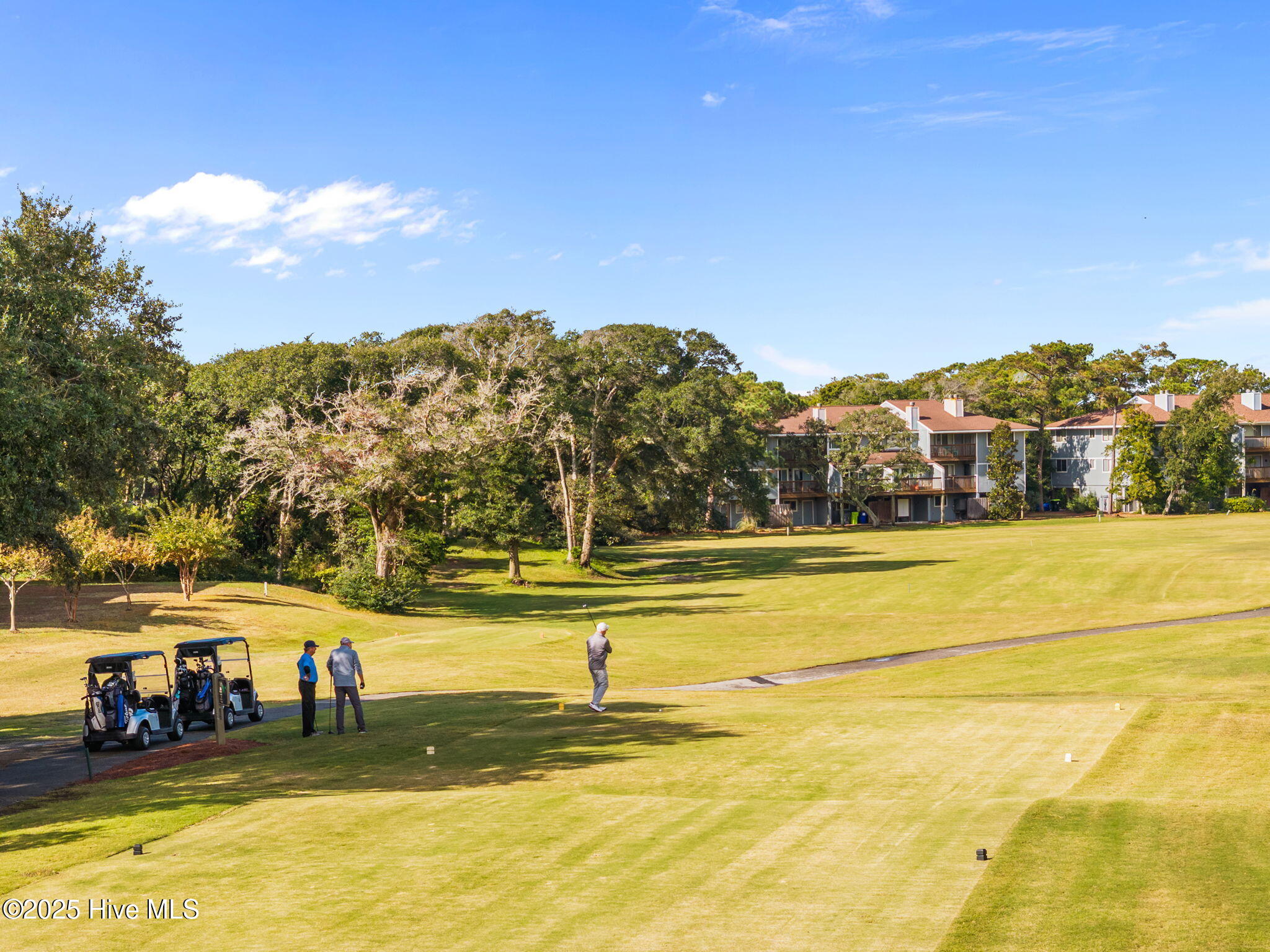 100539622 | Photo 47