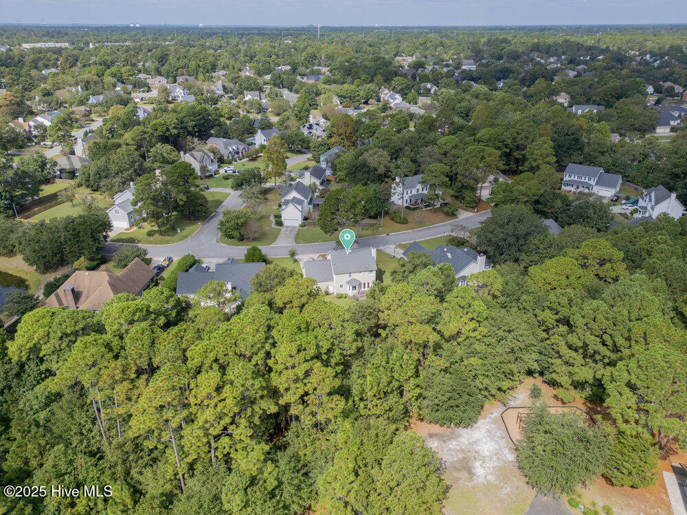 100537017 | Photo 30