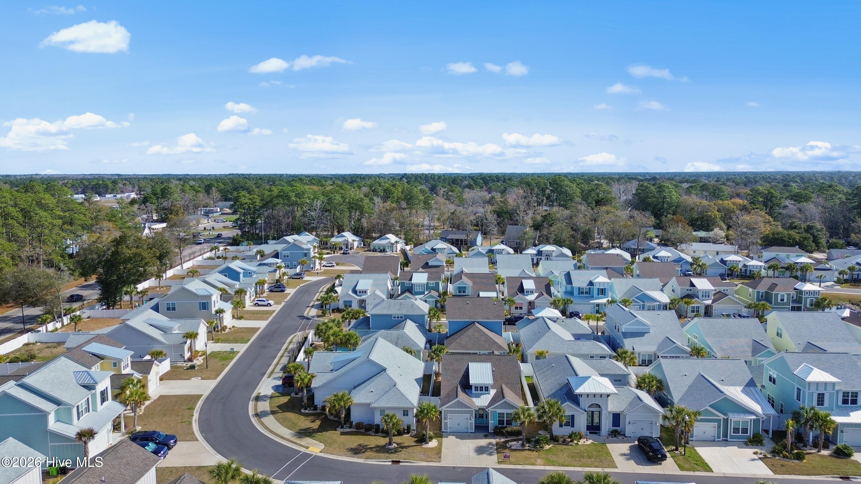 100558593 | Photo 33