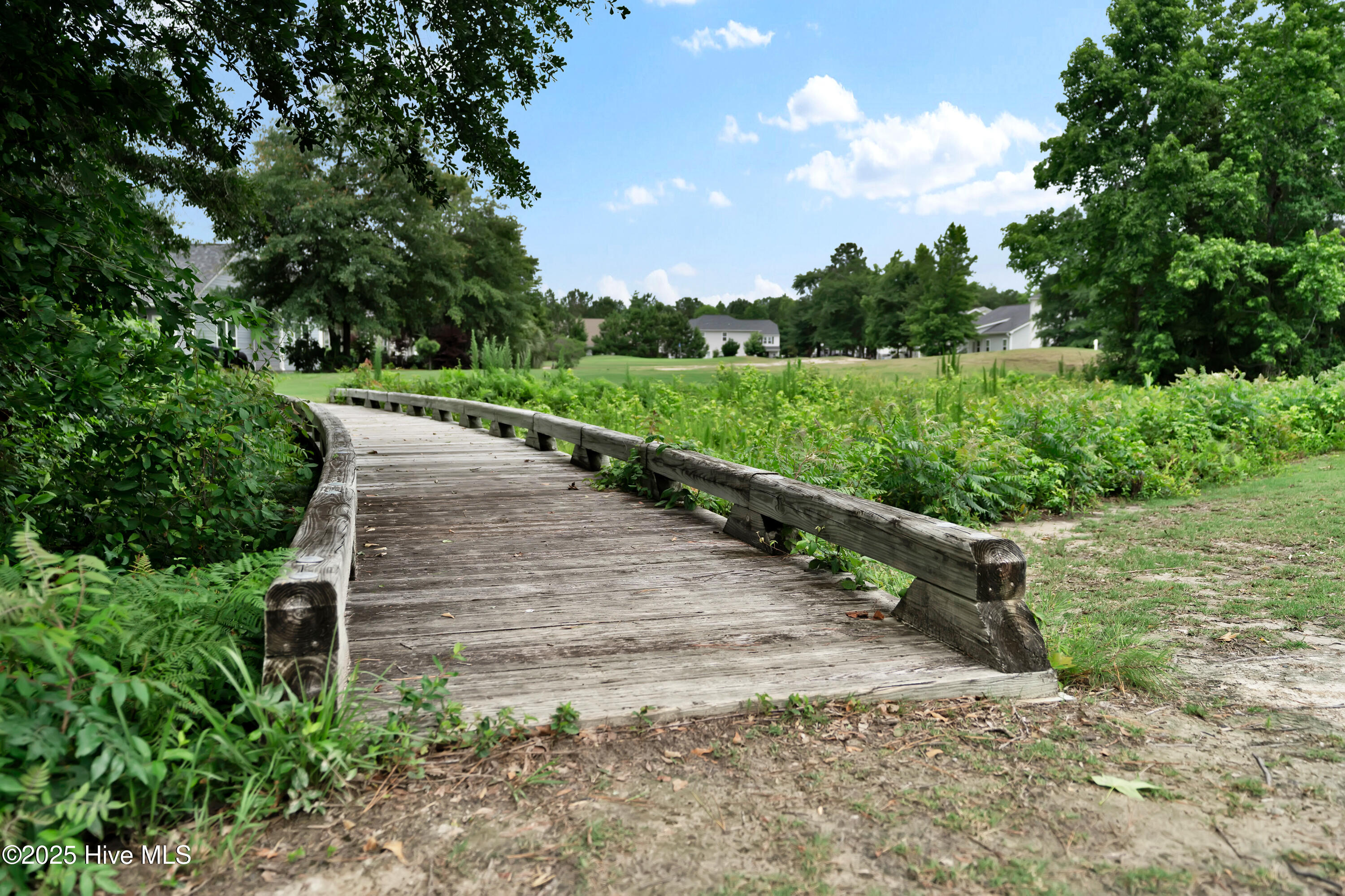 100513035 | Photo 27