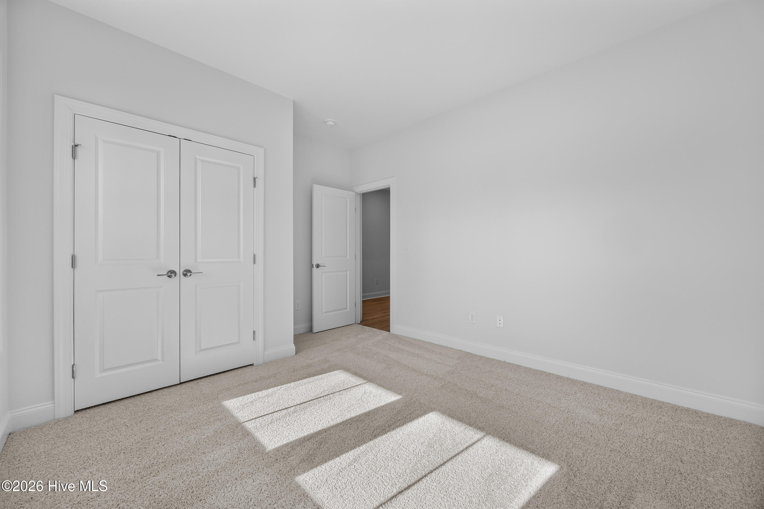 100527053 | Photo 16