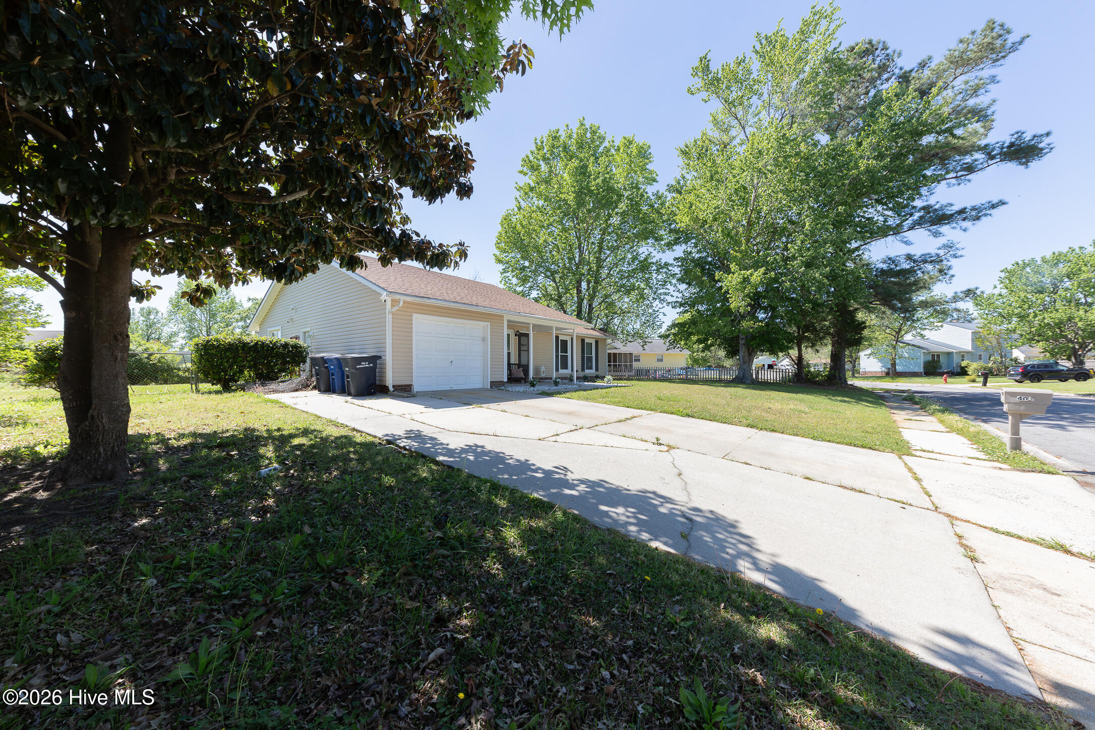 100566387 | Photo 50