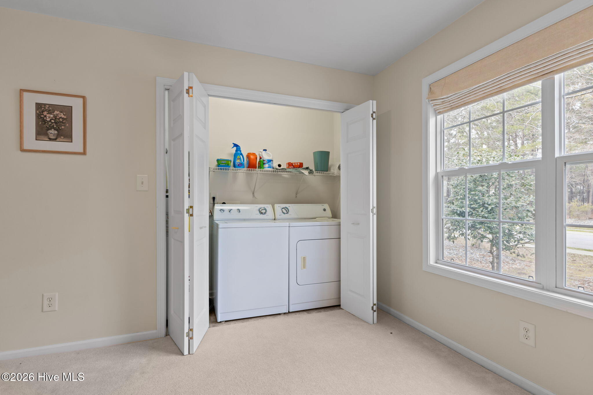 100563135 | Photo 22