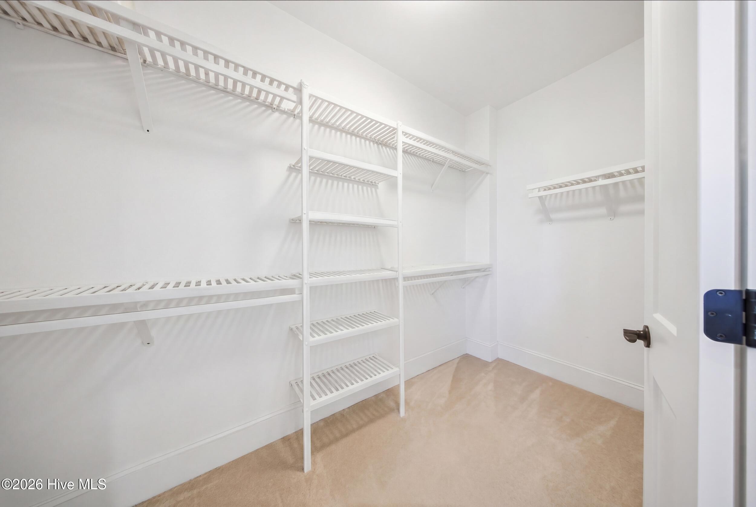 100567823 | Photo 46