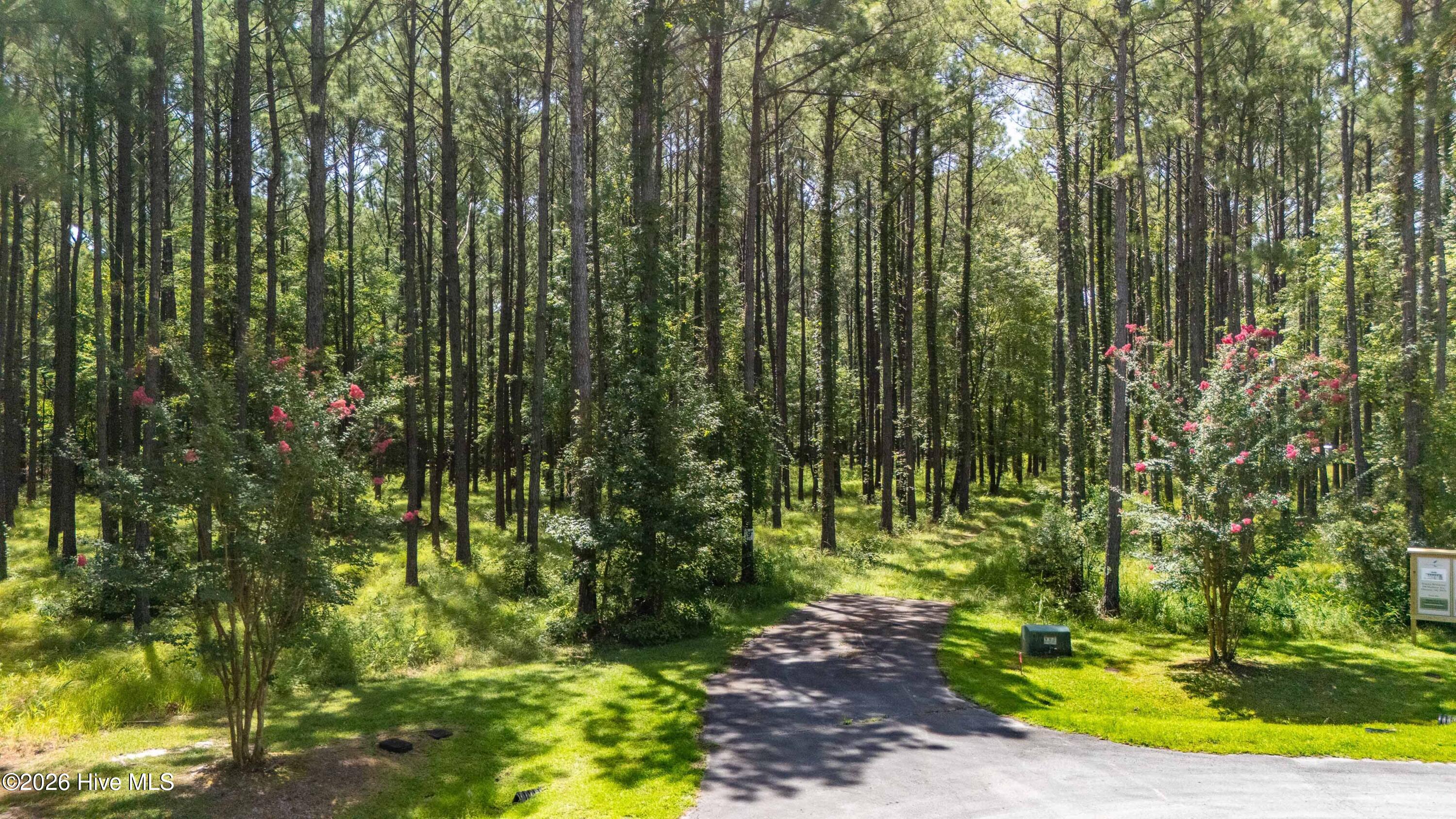 12th image of 397 Madison Ave, Oriental, NC 28571 | MLS# 100596371