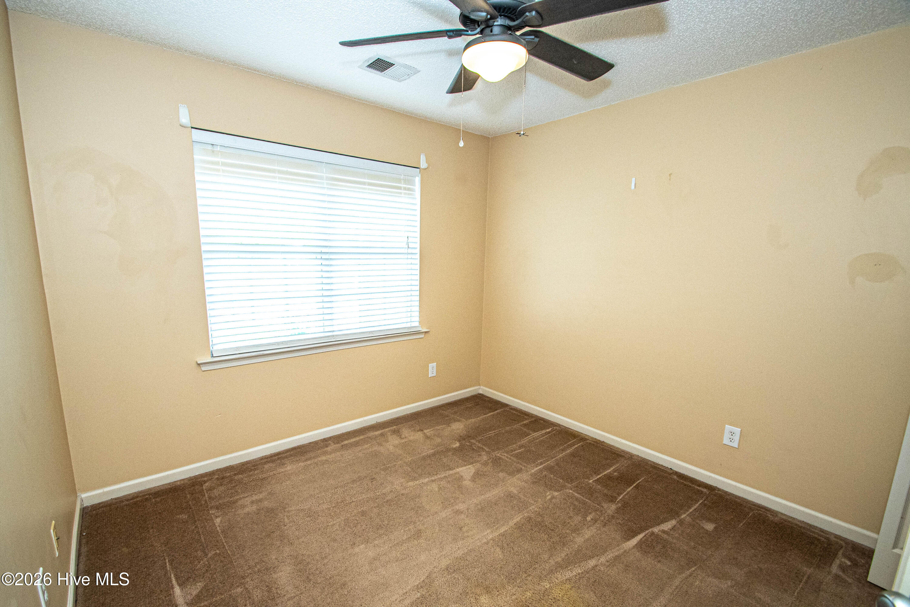 100567931 | Photo 32