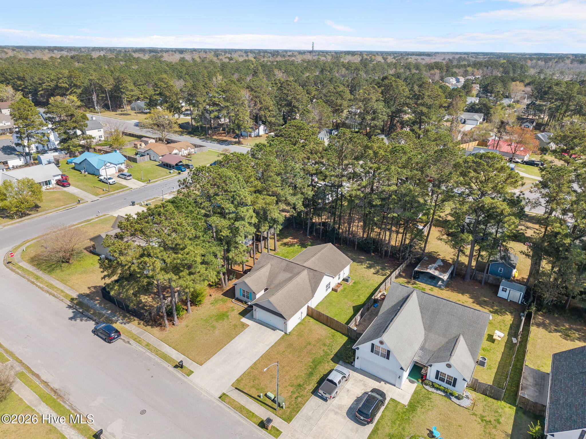 100561998 | Photo 42