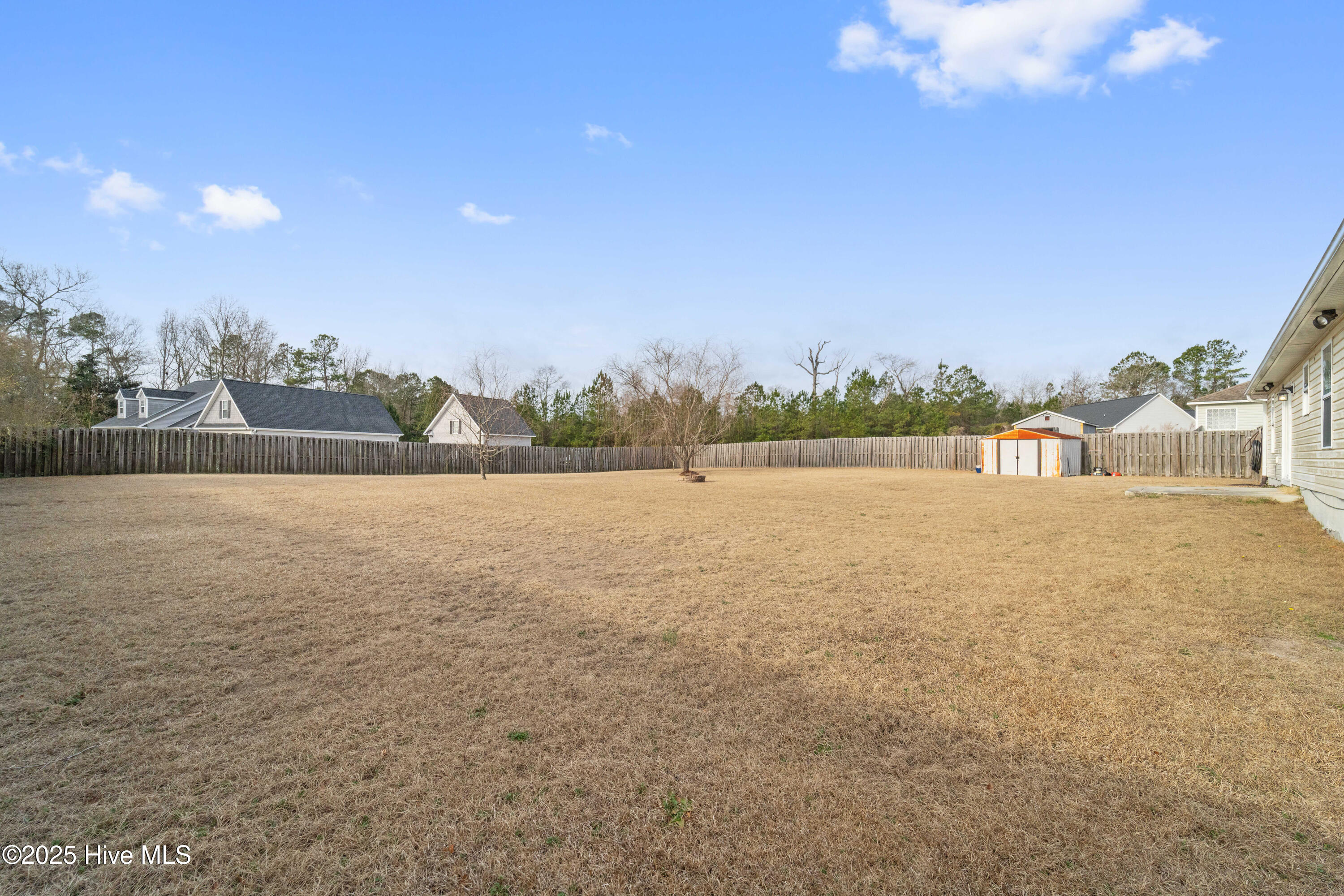 100558334 | Photo 17