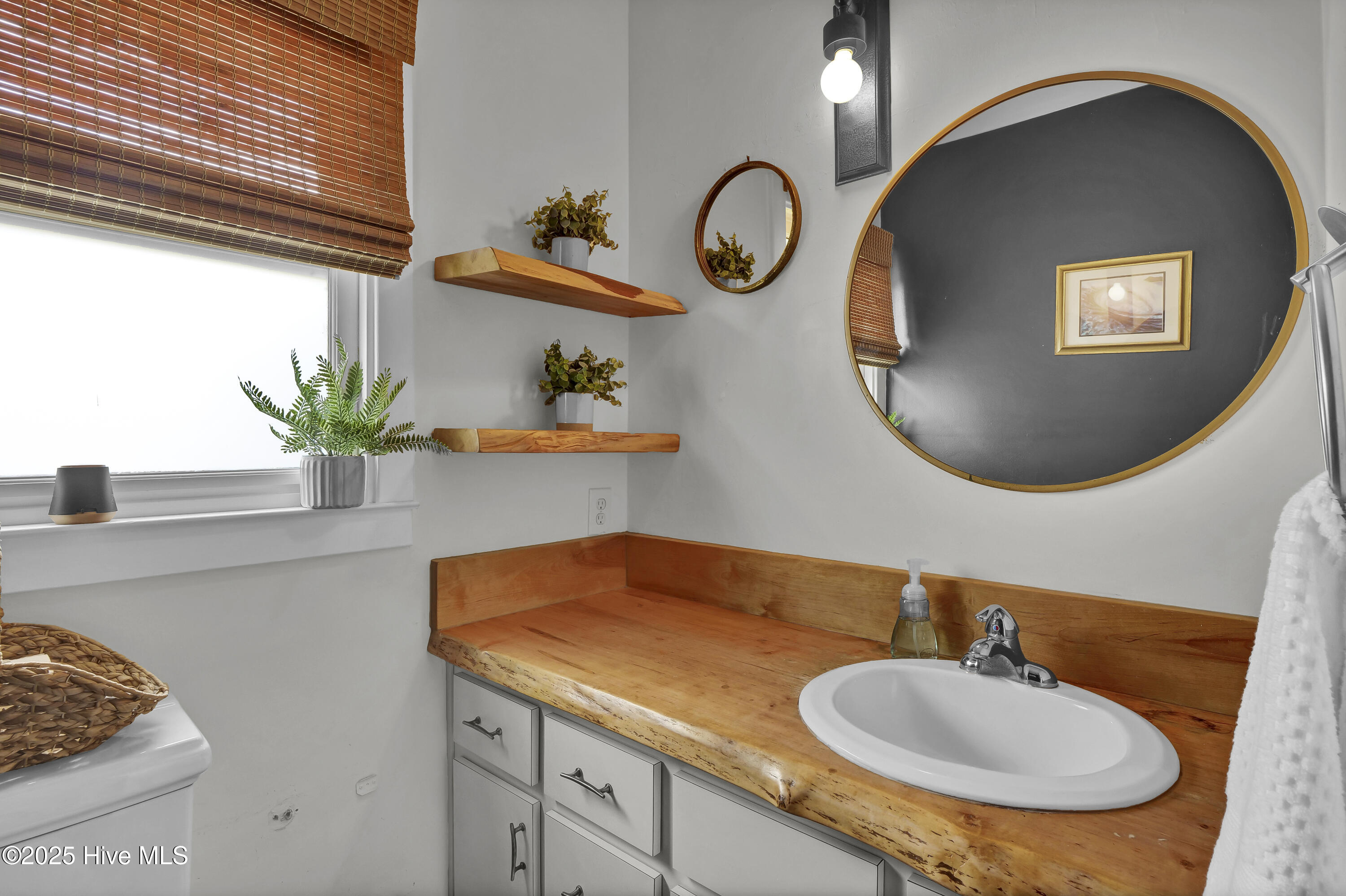 100524667 | Photo 24