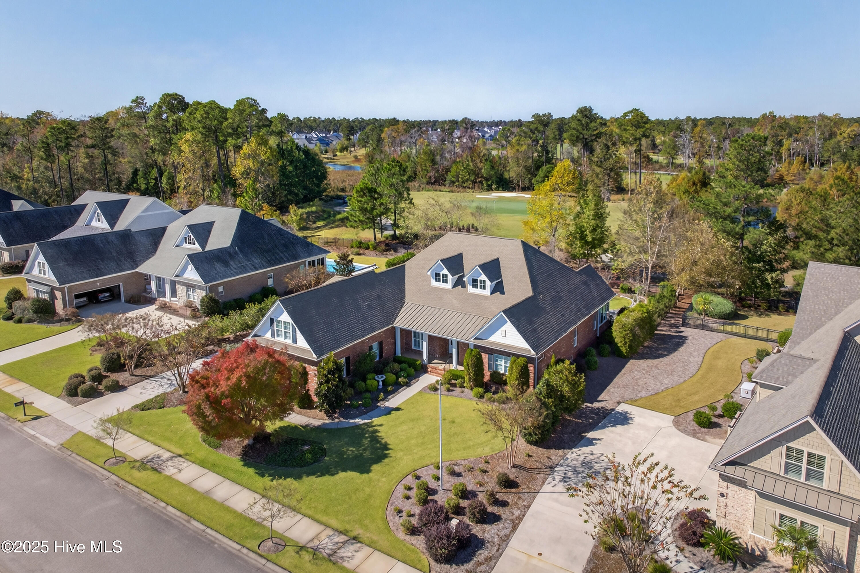 100527898 | Photo 64