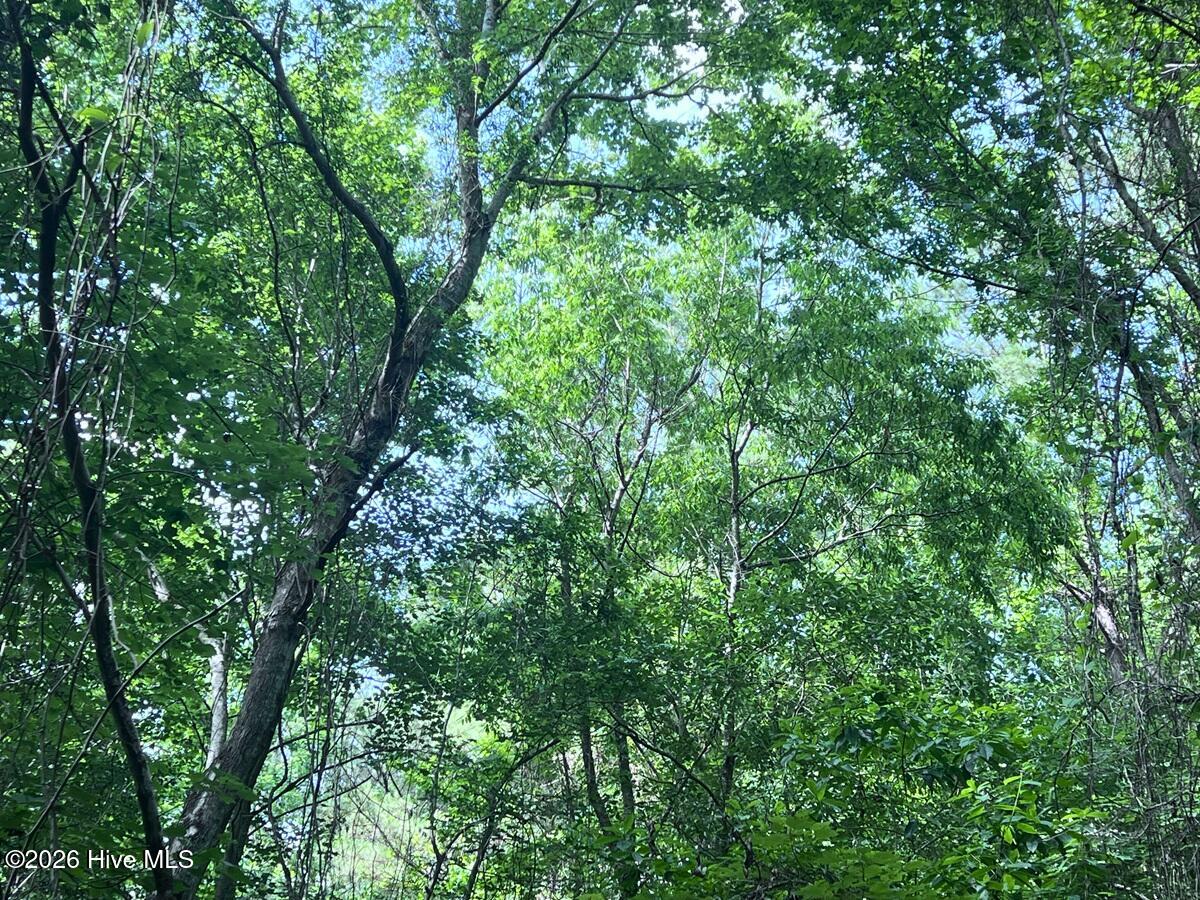 0 Ruby'S Lane,Maysville