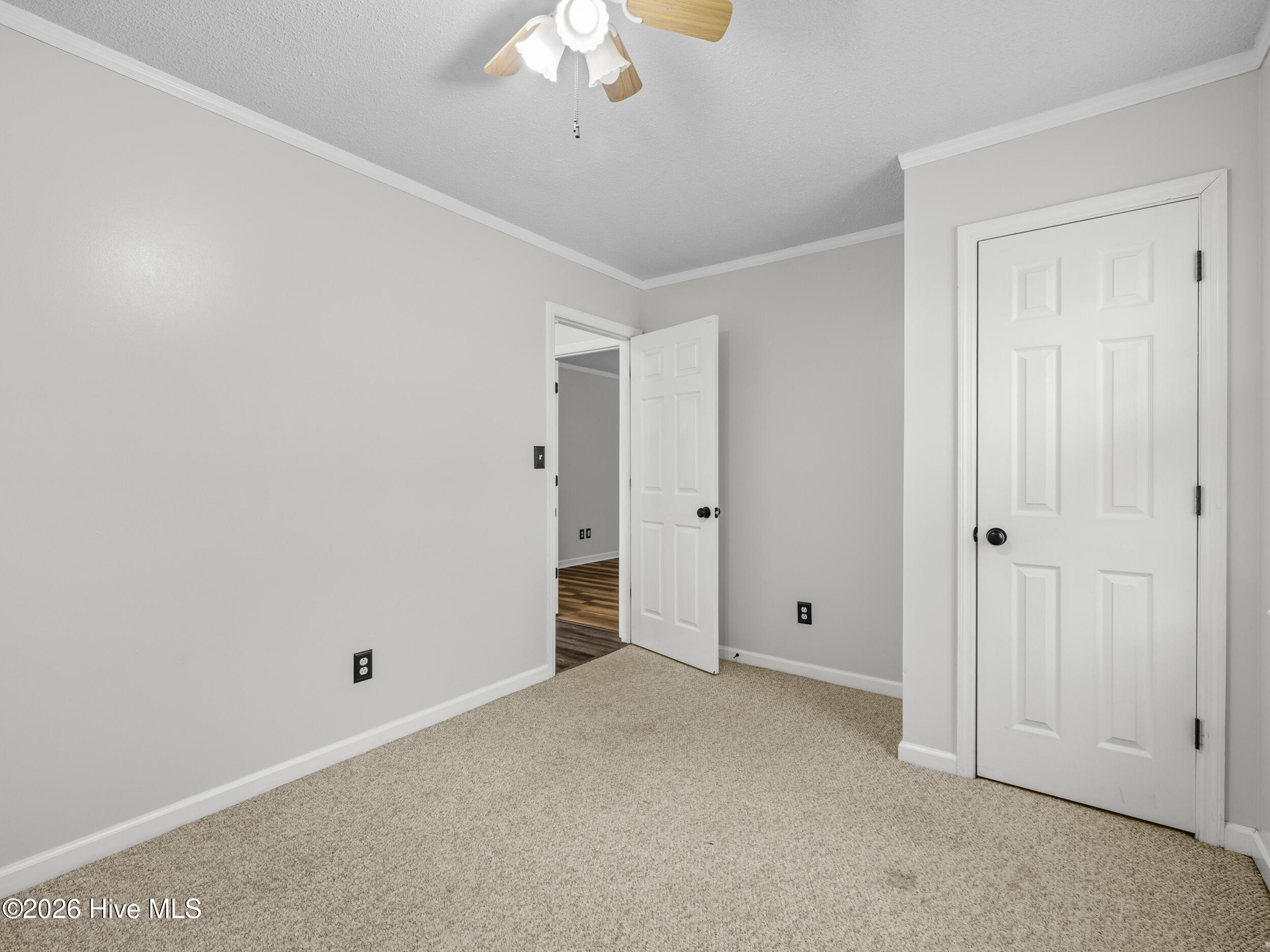 100550311 | Photo 24