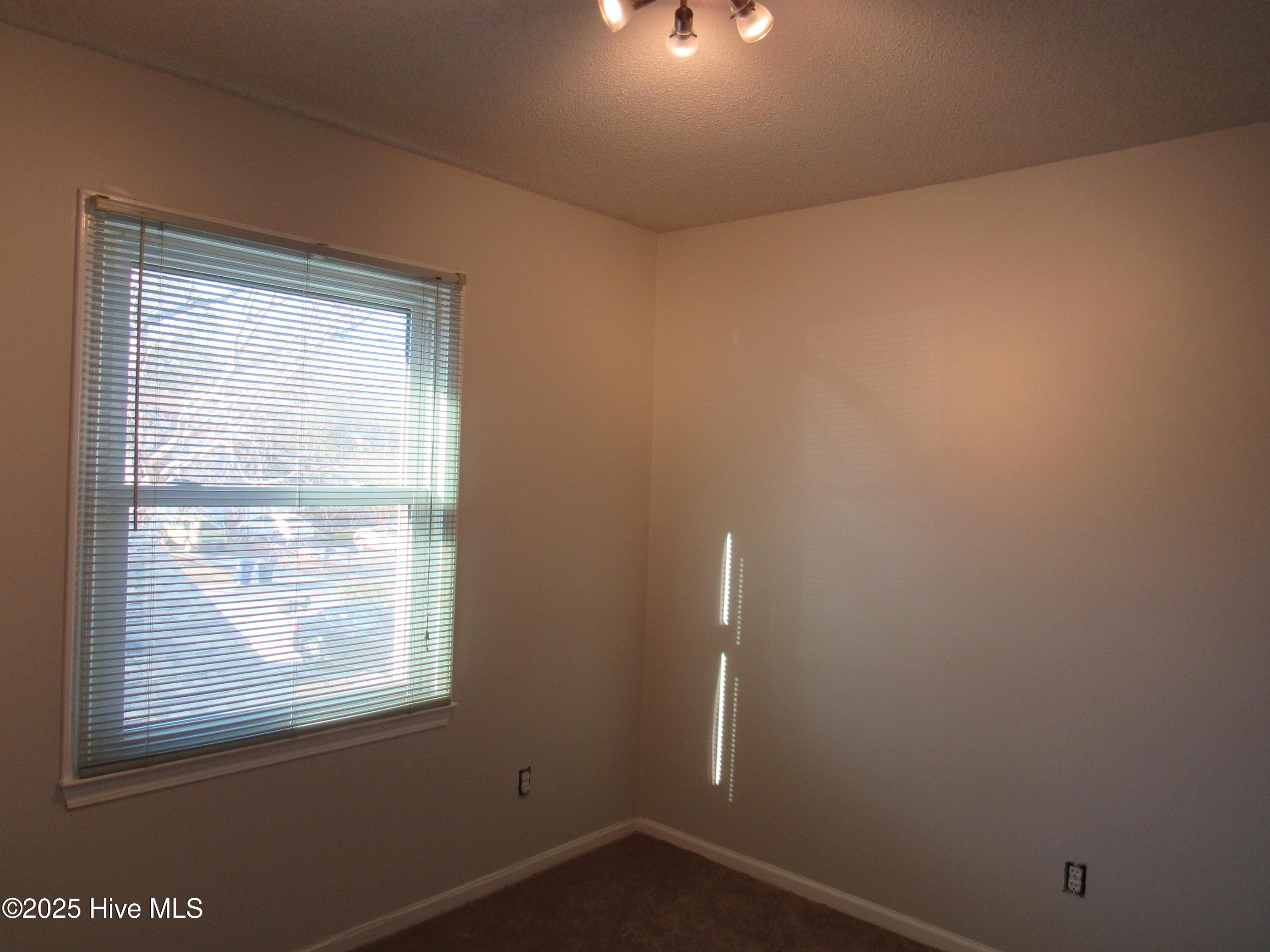 100547003 | Photo 24