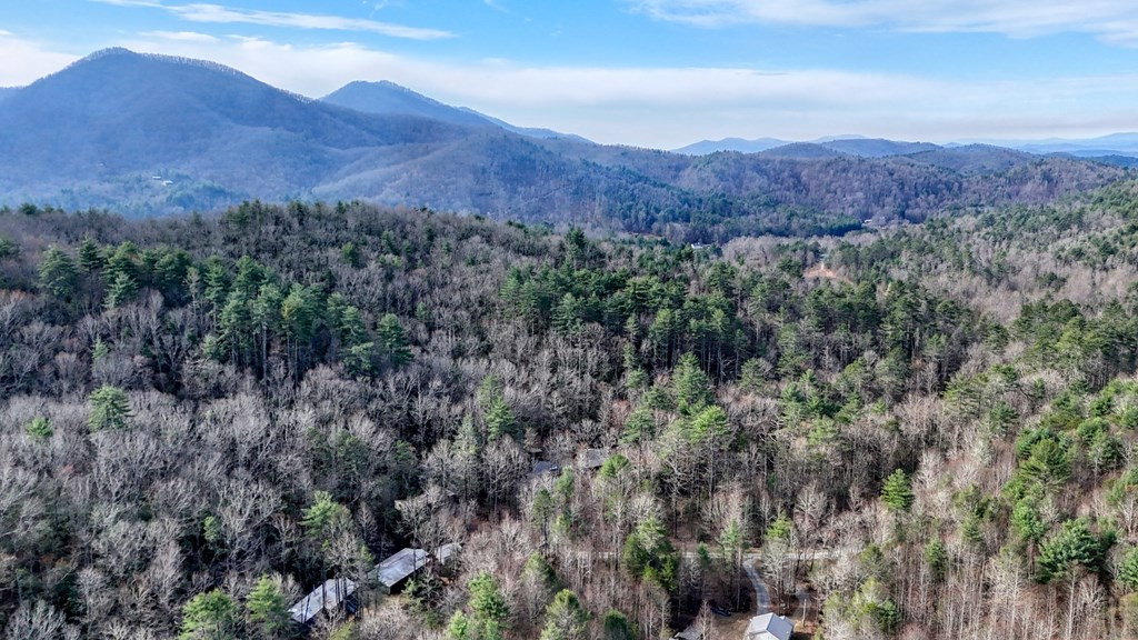 520 Farmer Drive, Murphy, NC 28906 Listing Photo  64