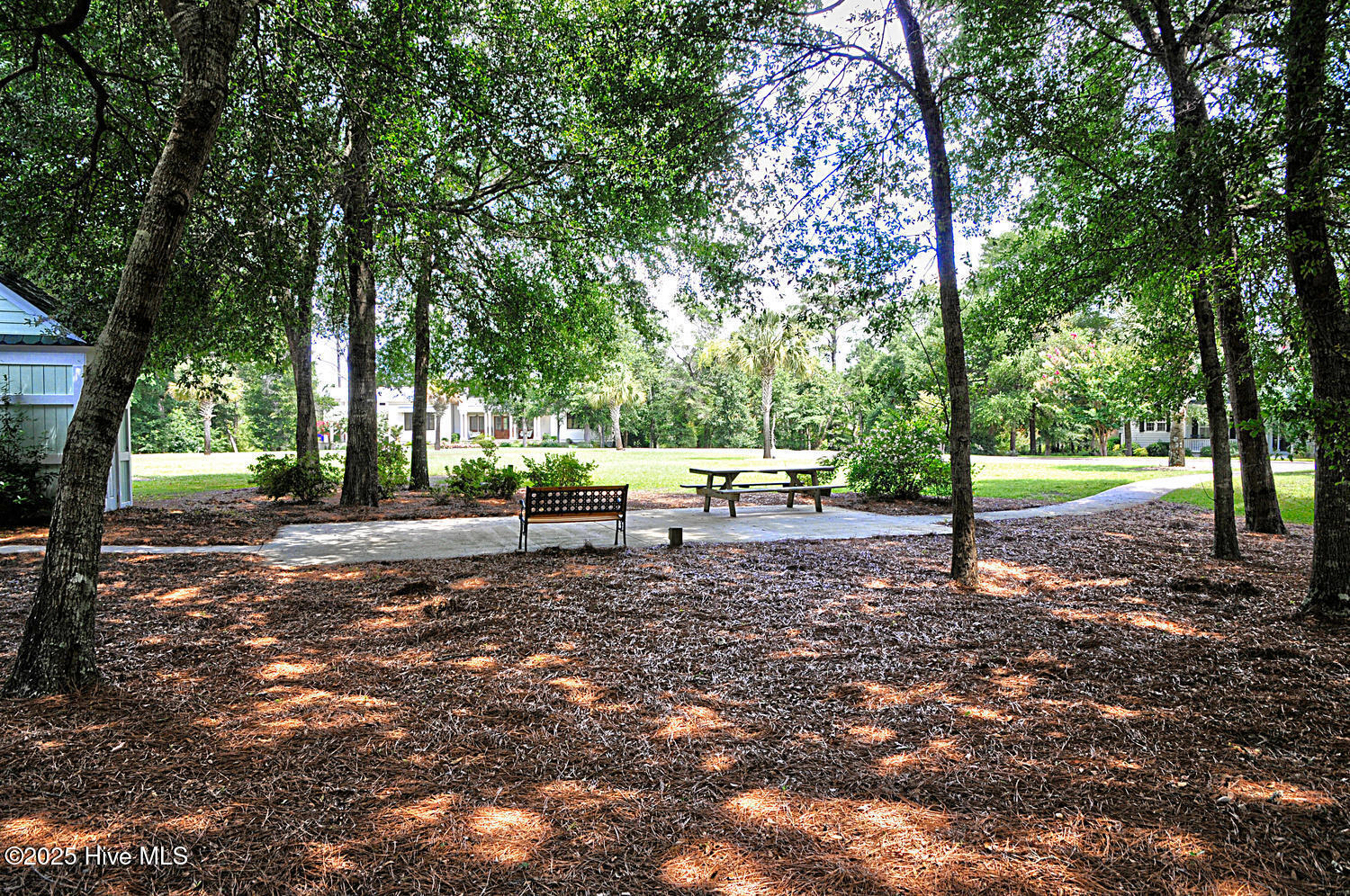 100516438 | Photo 56