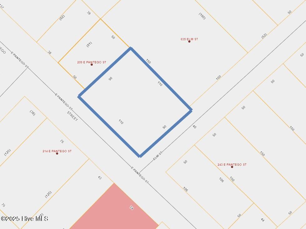 Lot 1 Pantego Street, Belhaven, NC, 27810