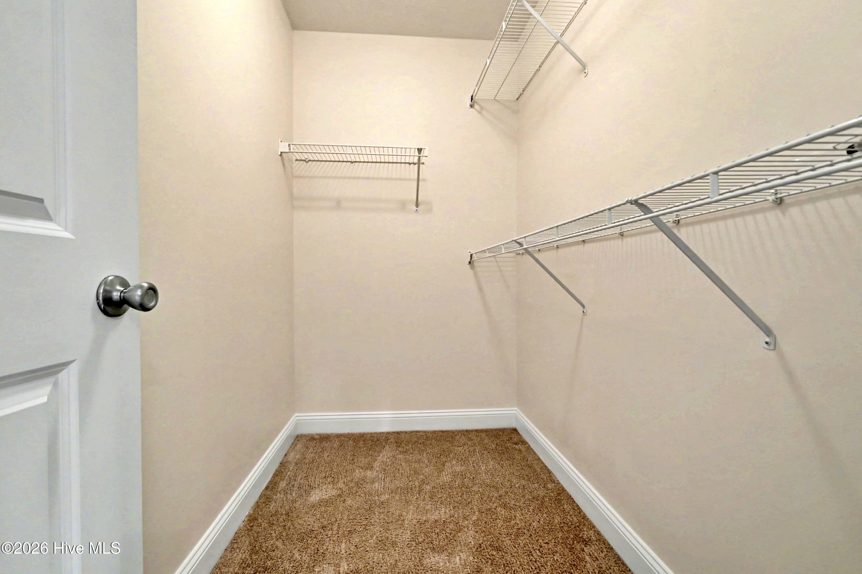 100562113 | Photo 16