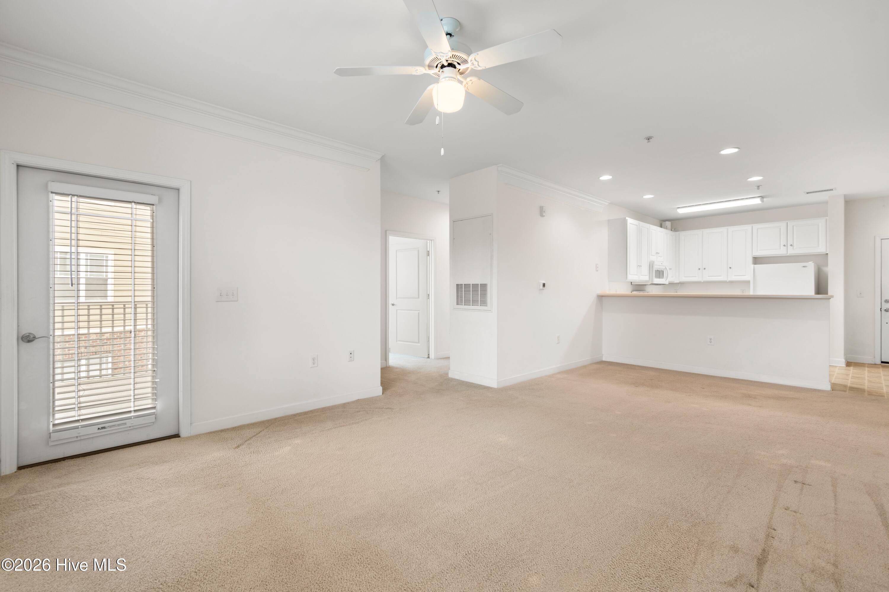 100557008 | Photo 13