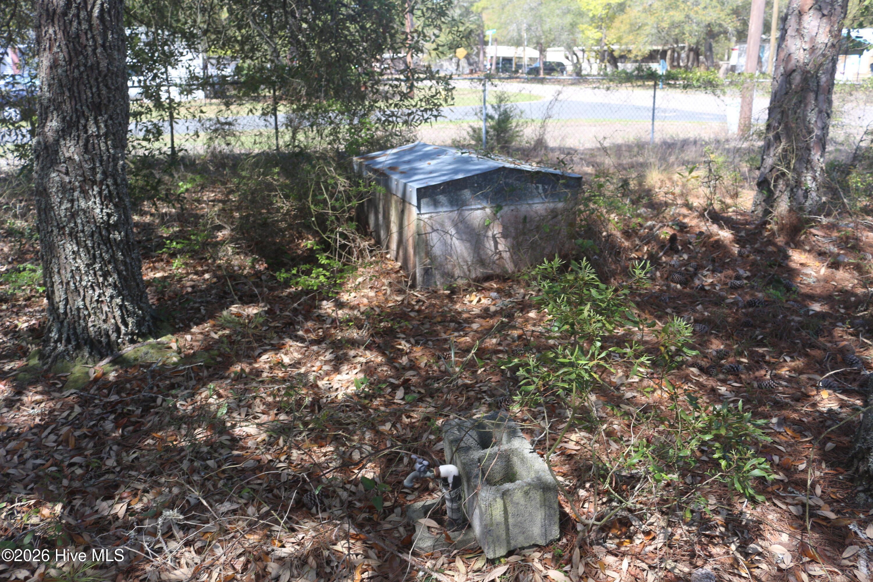 100566434 | Photo 12