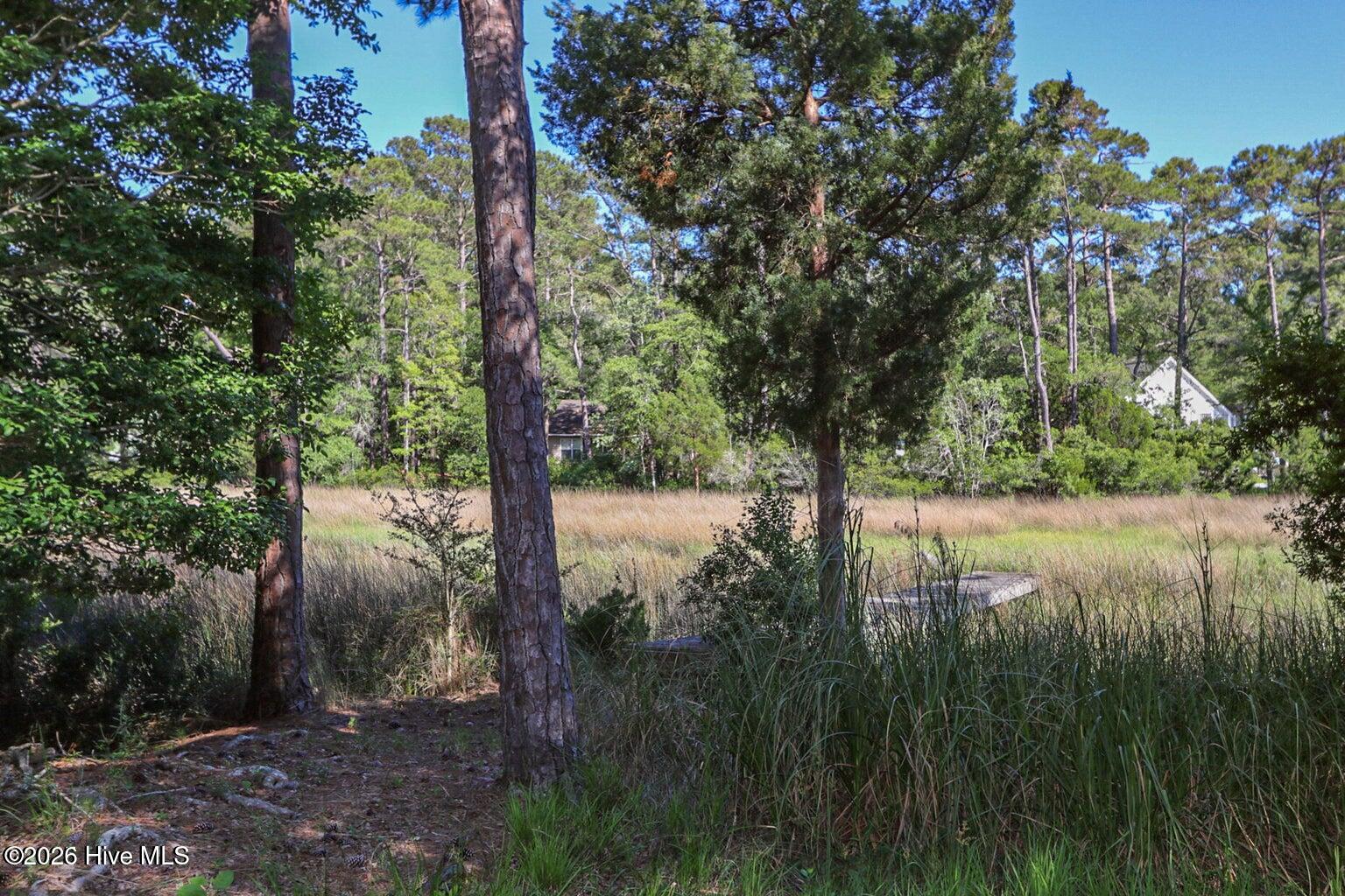 100556974 | Photo 14