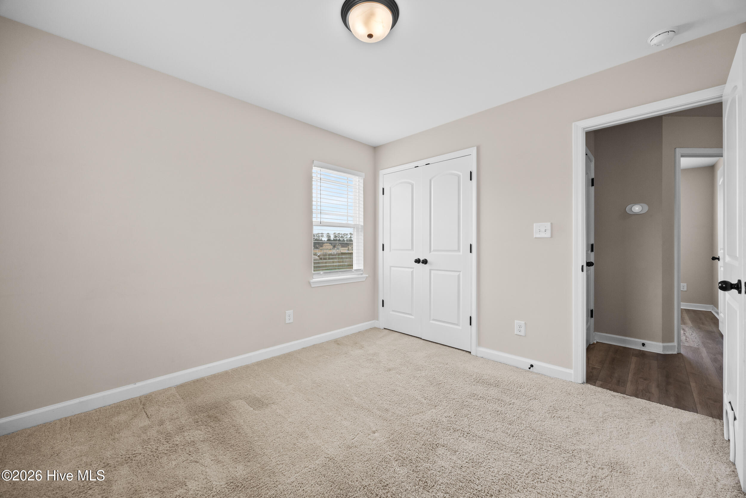 100556419 | Photo 23