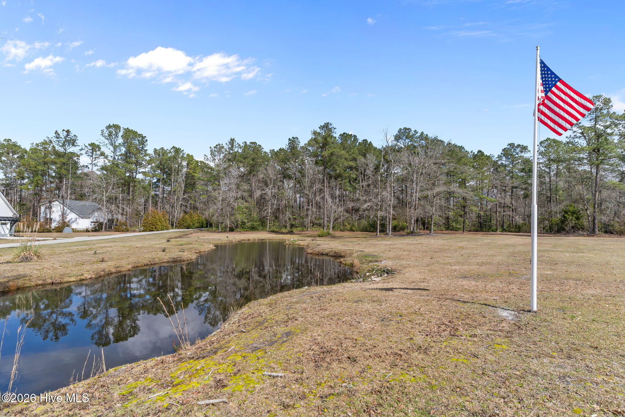 100559500 | Photo 41