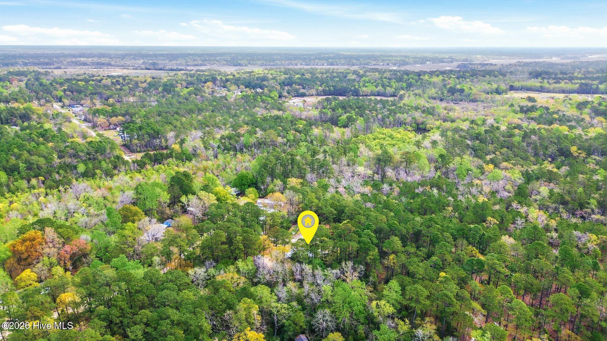 100565168 | Photo 52