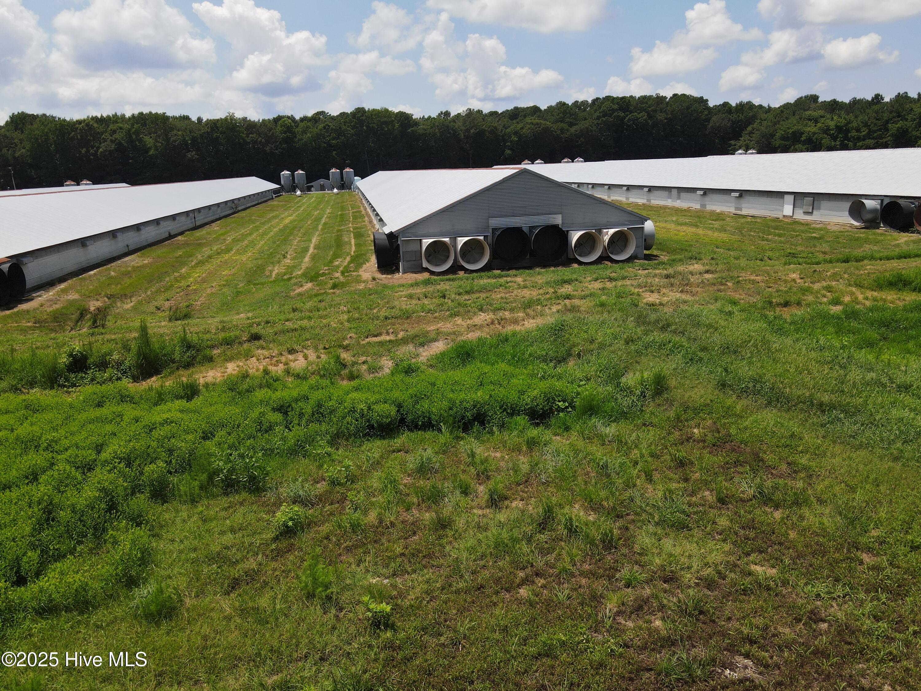 Tbd E Woodrow School Road, Murfreesboro, NC, 27855