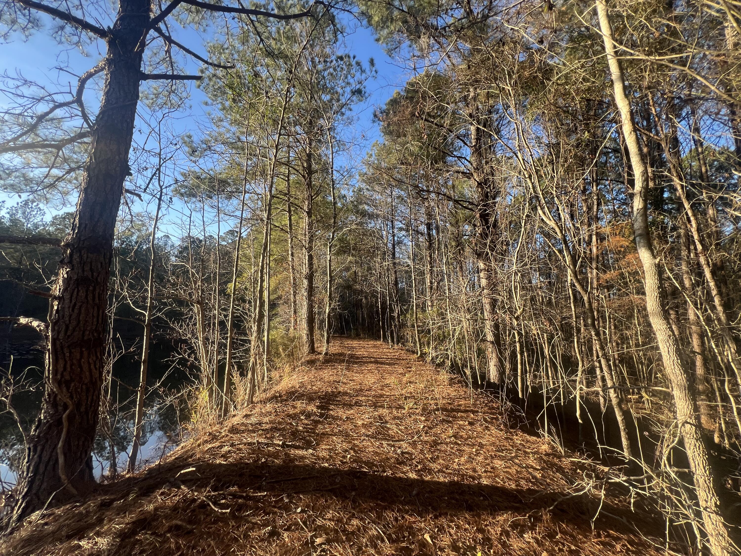 Homes for sale in Cobbtown, GA | 22701 Hwy 129, Cobbtown, GA 30420 | MLS# 552538