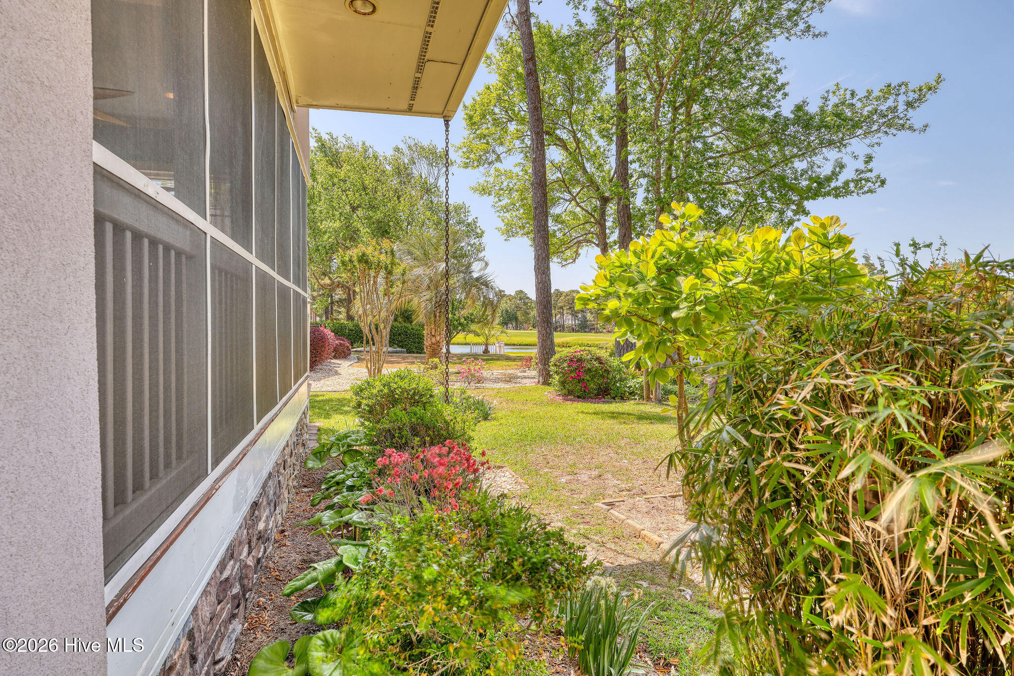 100569152 | Photo 62