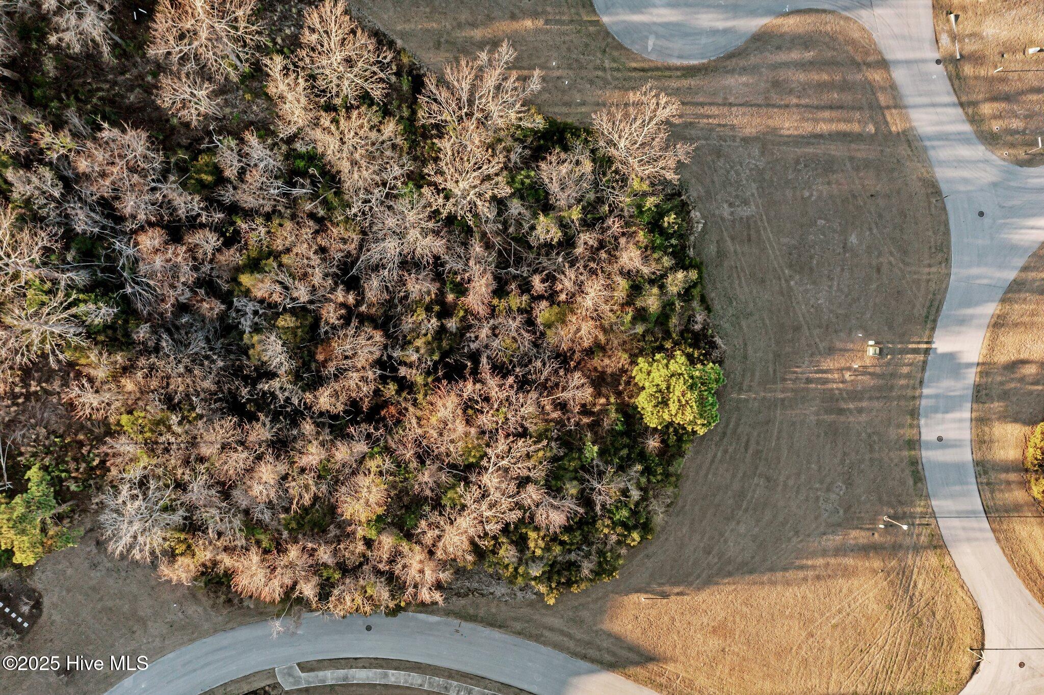 100559624 | Photo 23