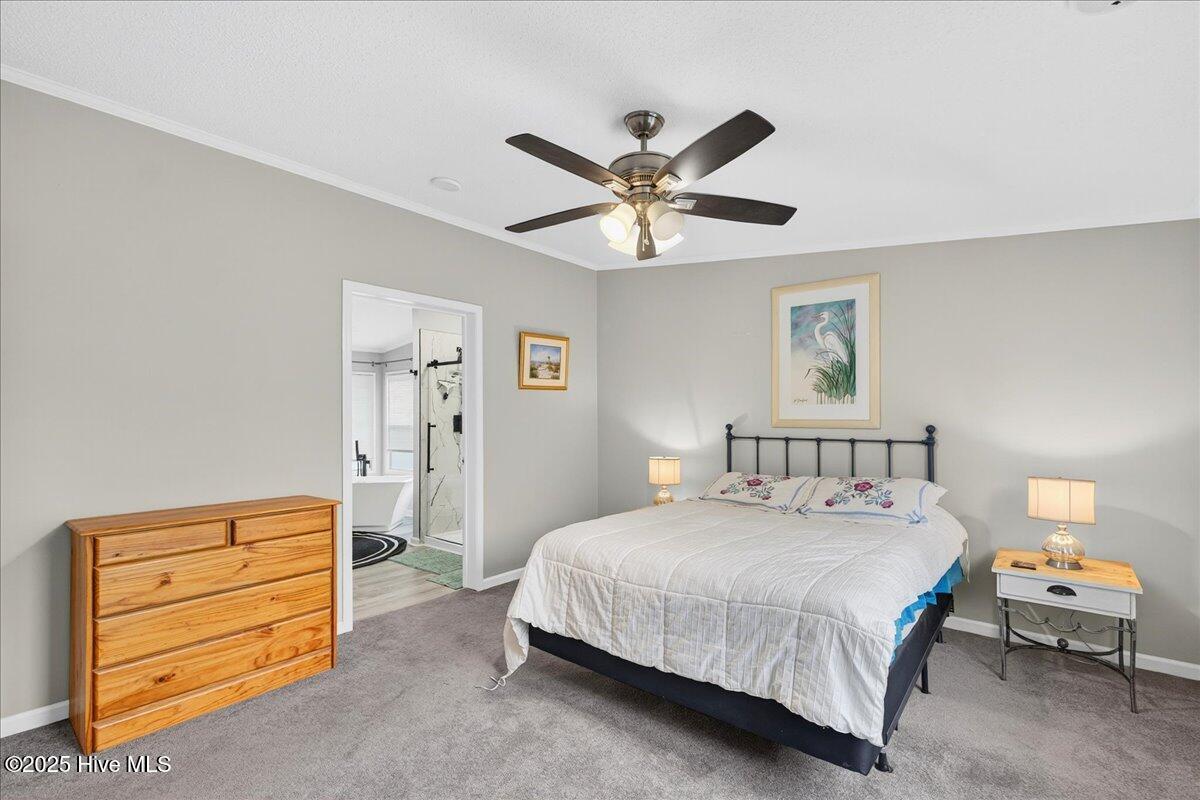 100535729 | Photo 29