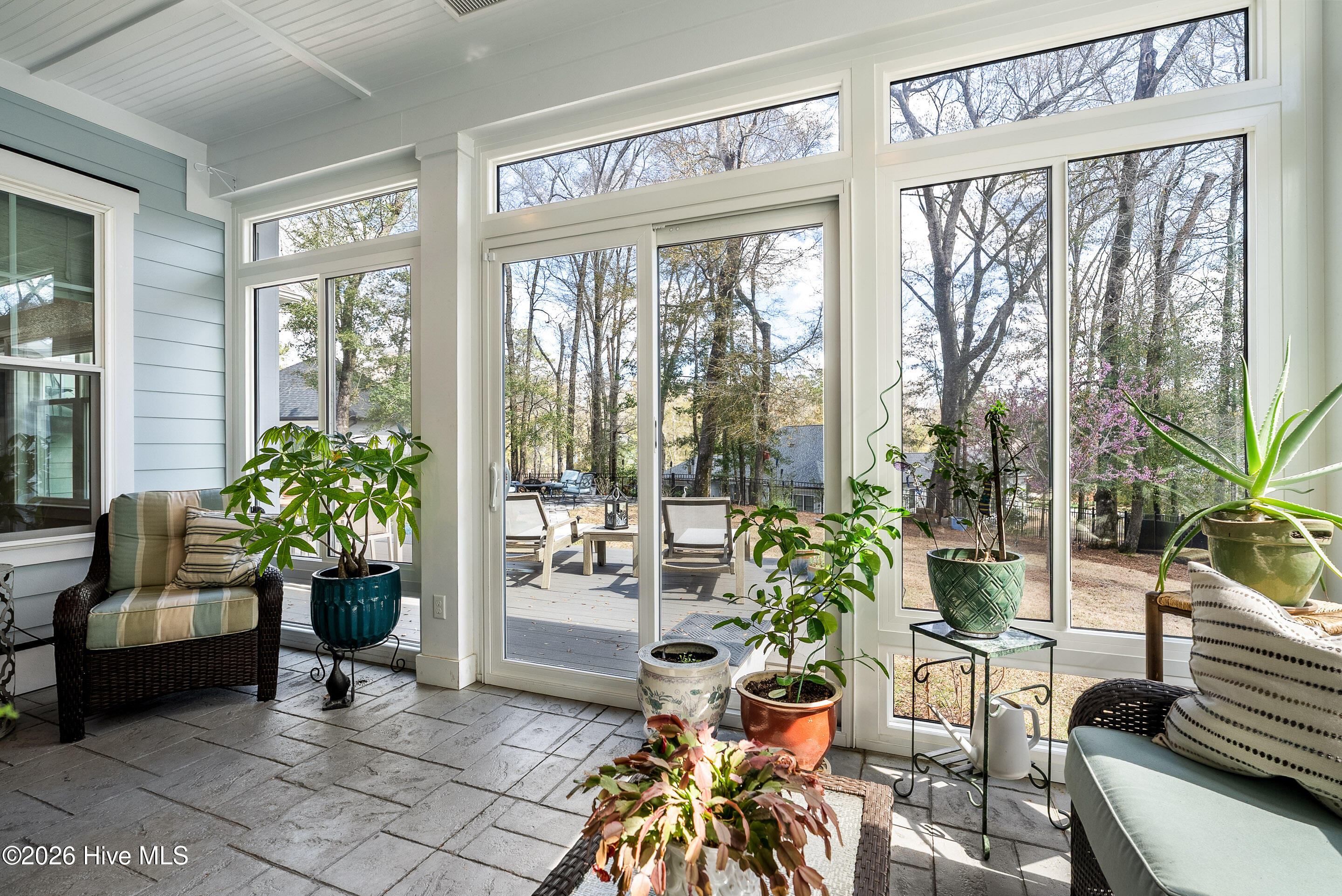 100559512 | Photo 23