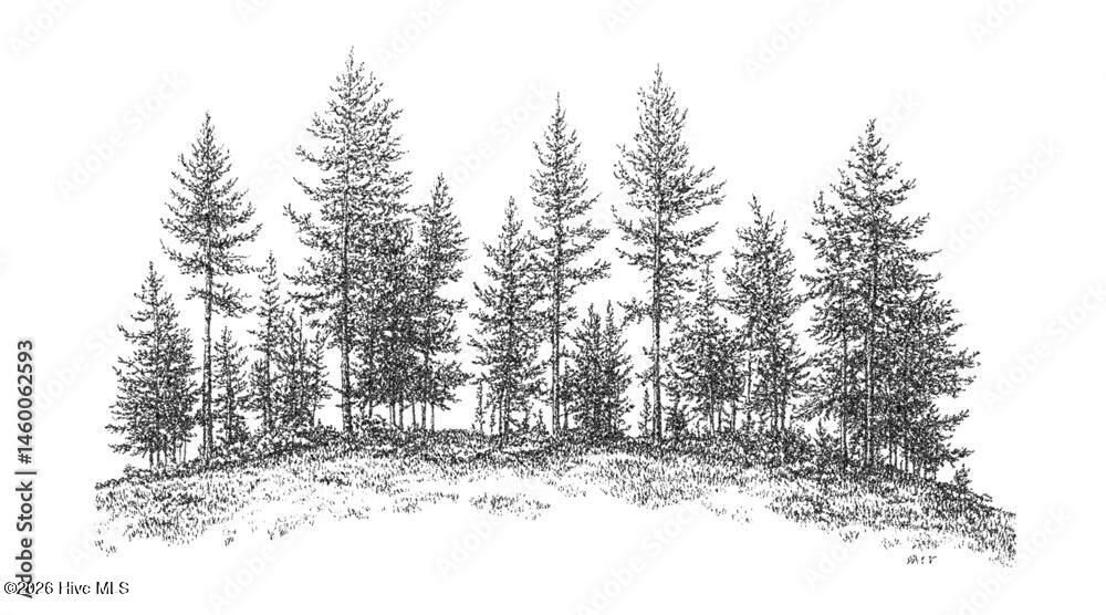 1000_F_1460062593_upGZoeJrelOuy5FQDzCCqz