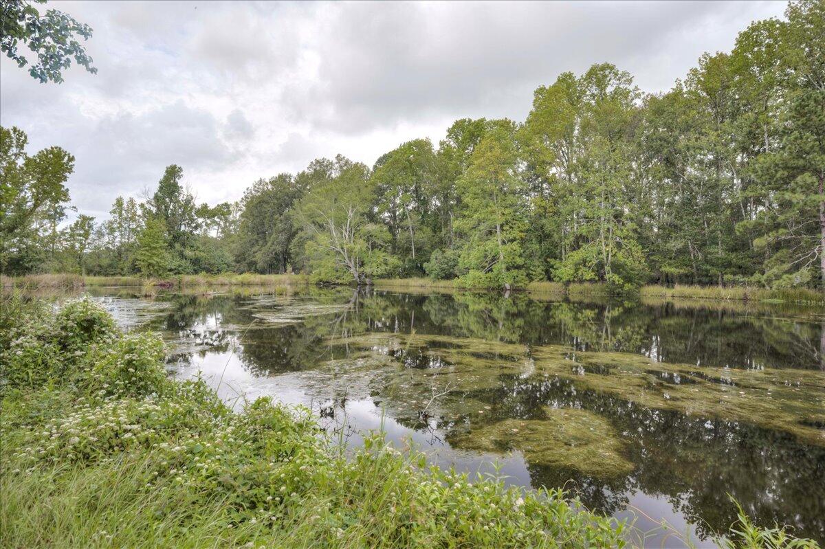 Homes for sale in Louisville, GA | 1341 N Ga Hwy 171, Louisville, GA 30434 | MLS# 546213