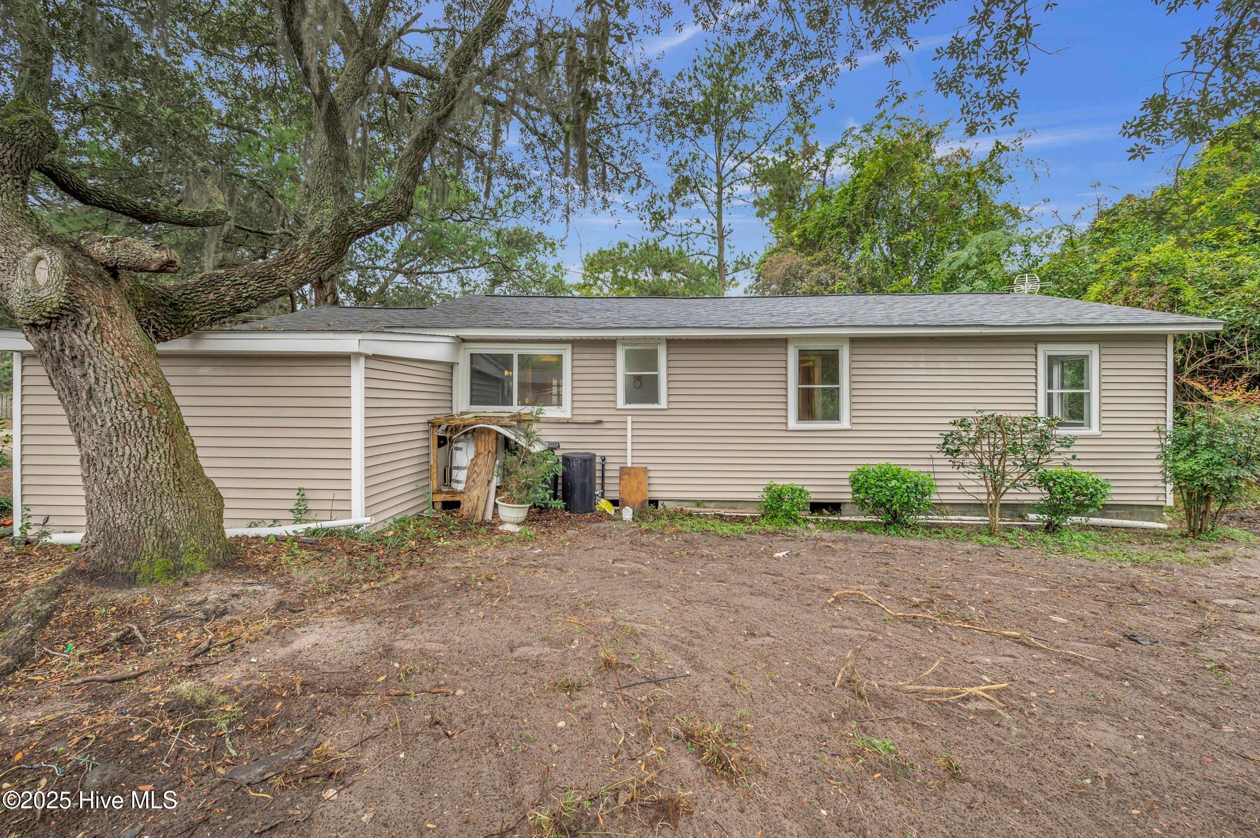 100538812 | Photo 34