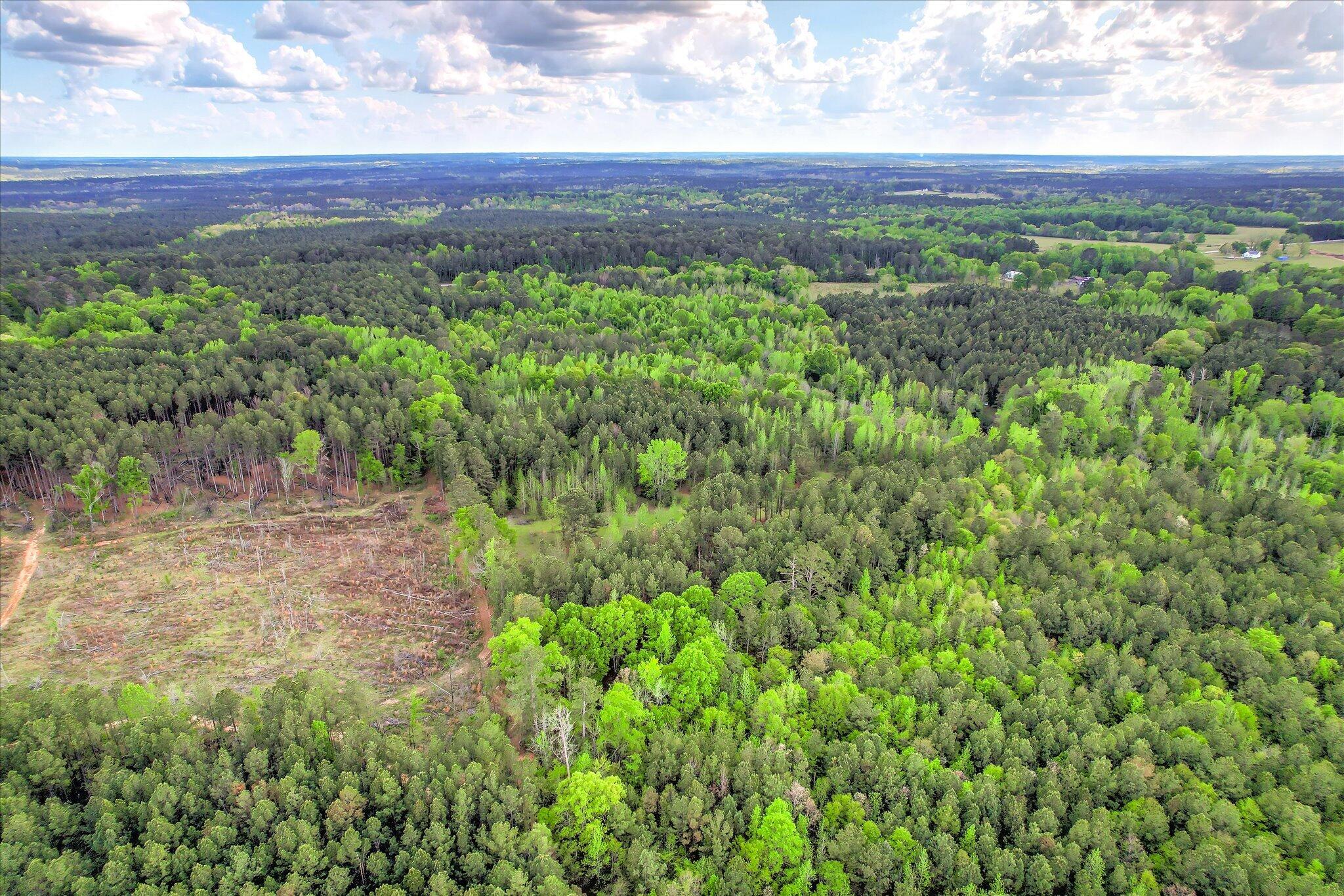 6995 Cobbham Road, Appling, GA, 30802