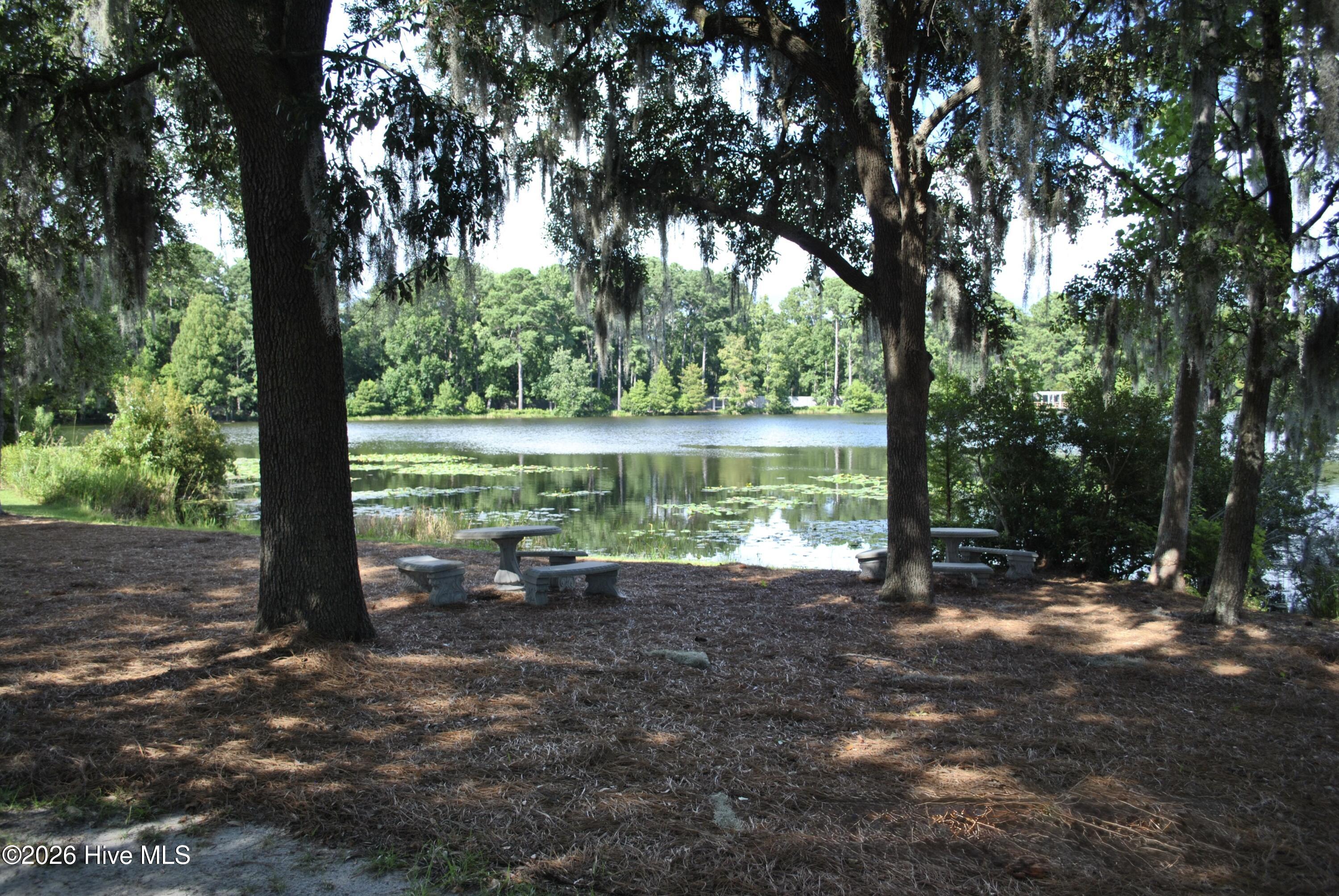 100554924 | Photo 58