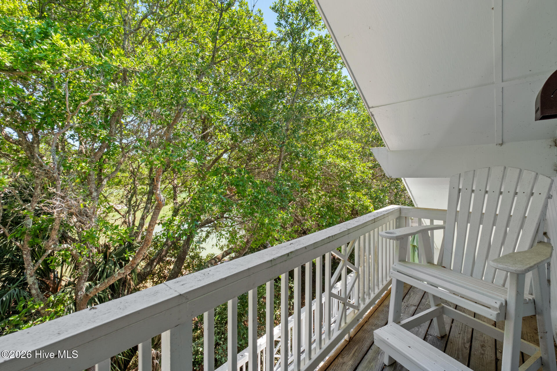 100569244 | Photo 25