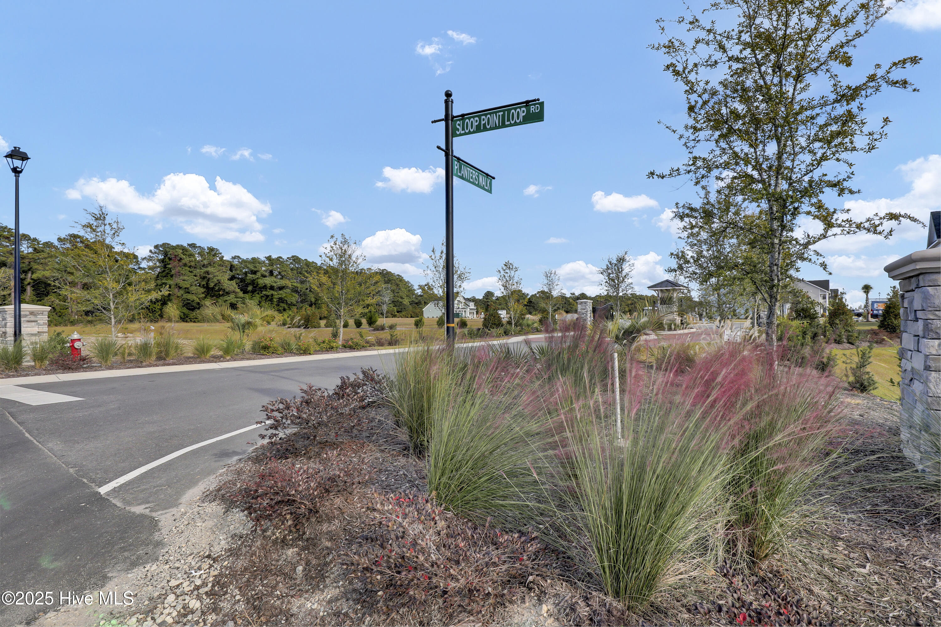 100539864 | Photo 33