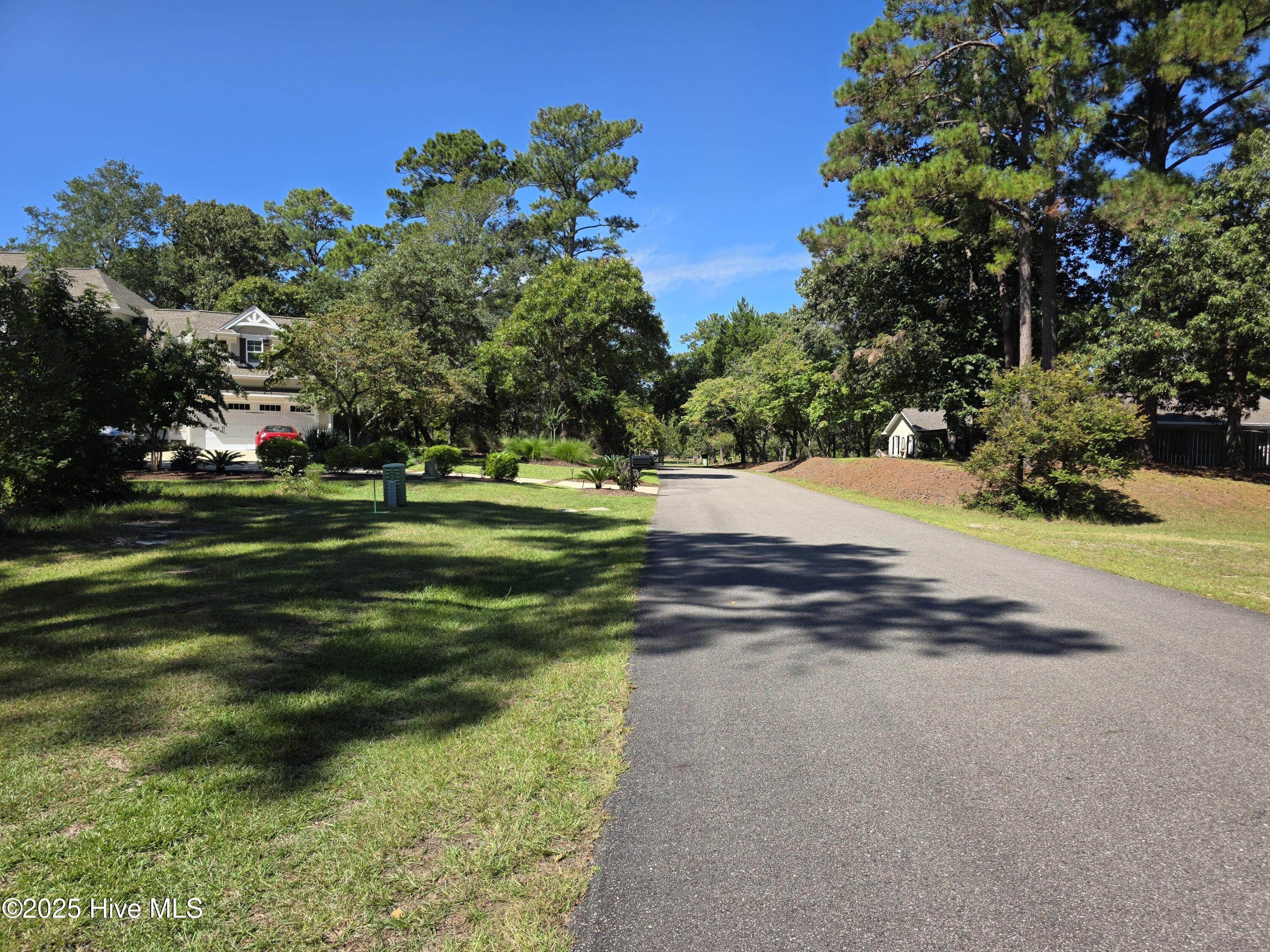 100532250 | Photo 19