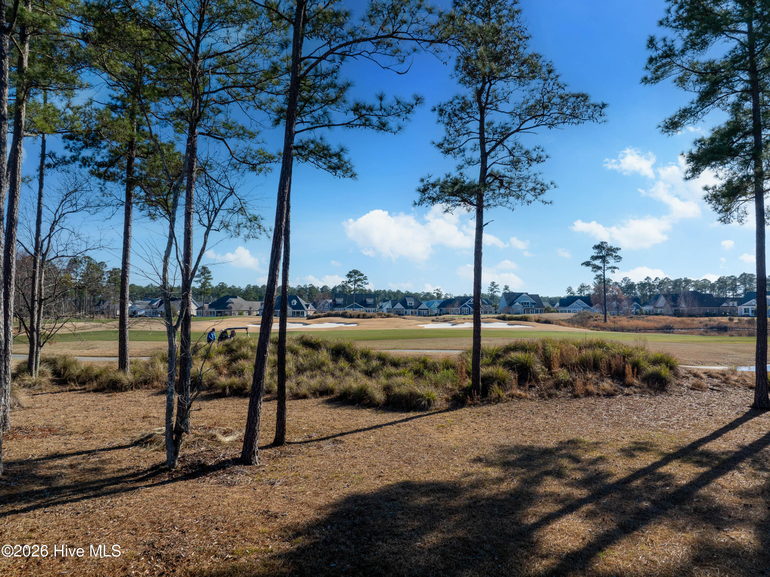 100557146 | Photo 26