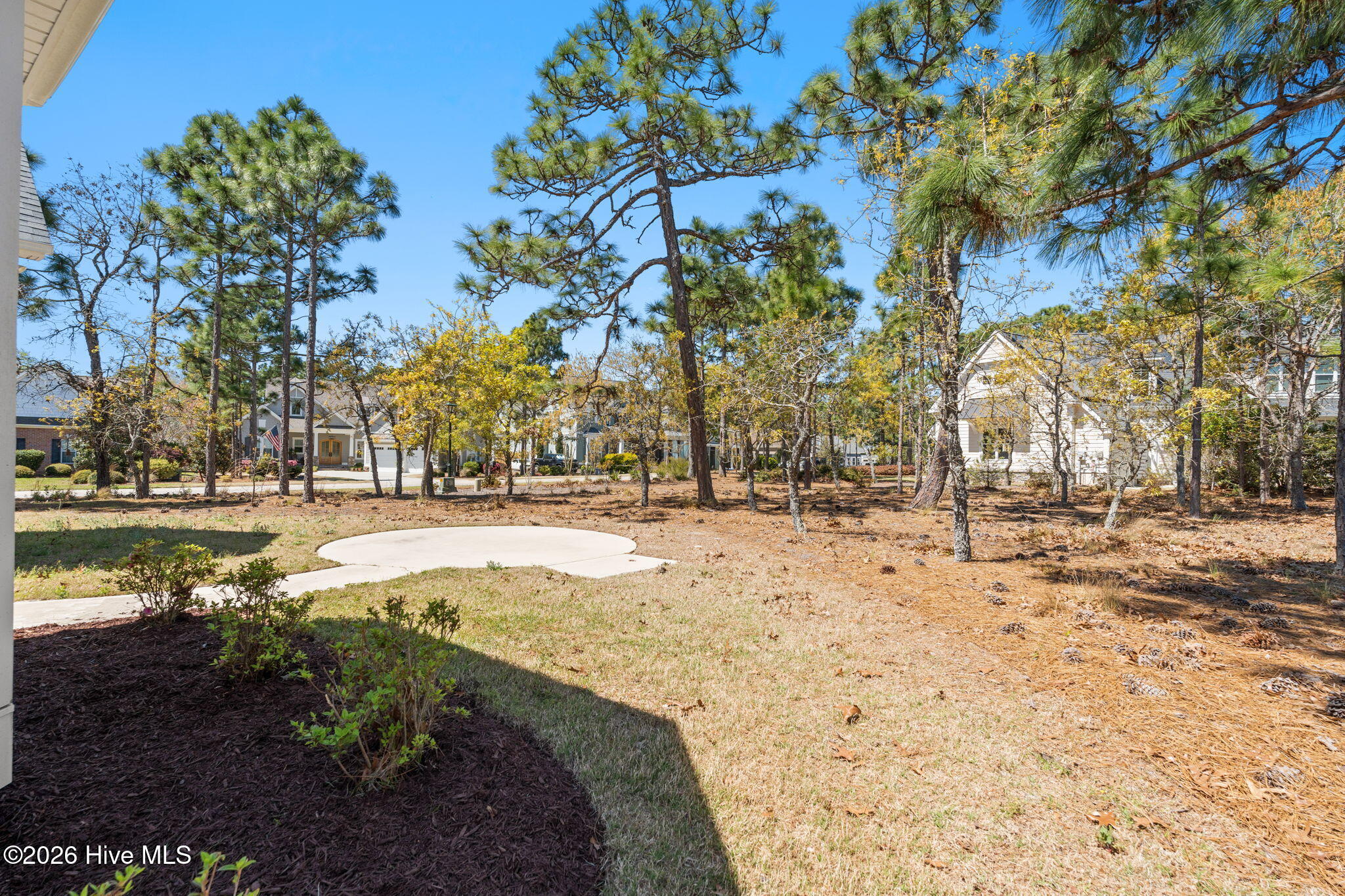 100564943 | Photo 48