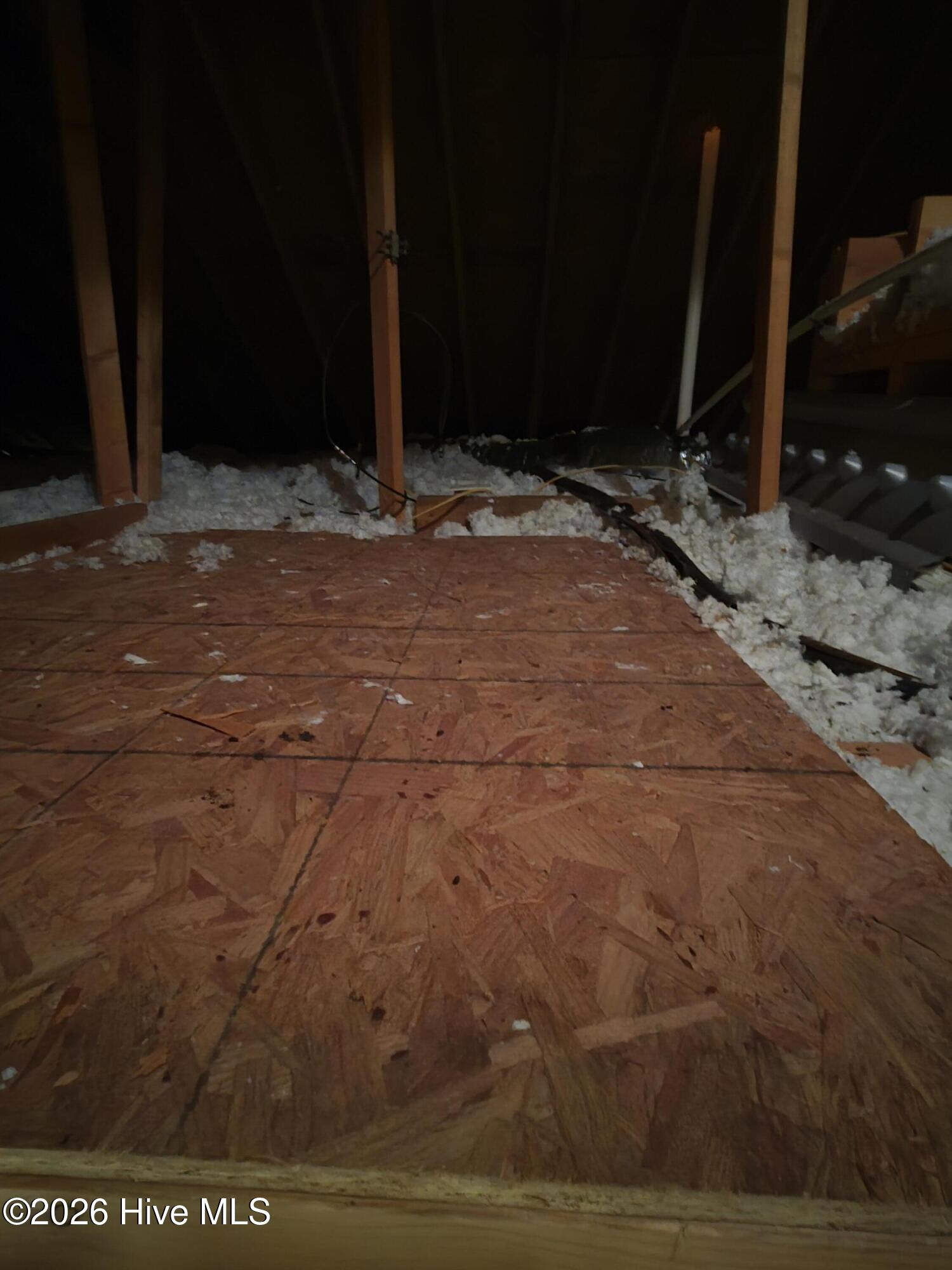 100567853 | Photo 60