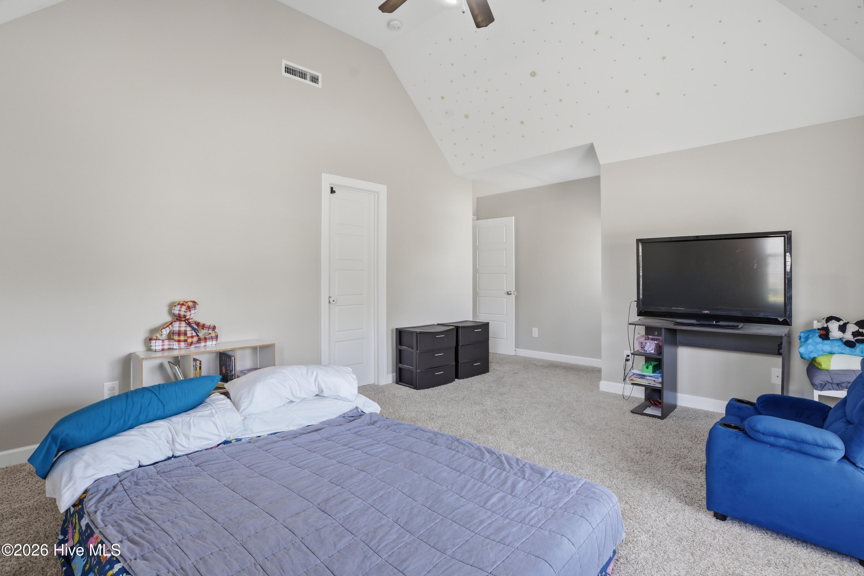 100564087 | Photo 40