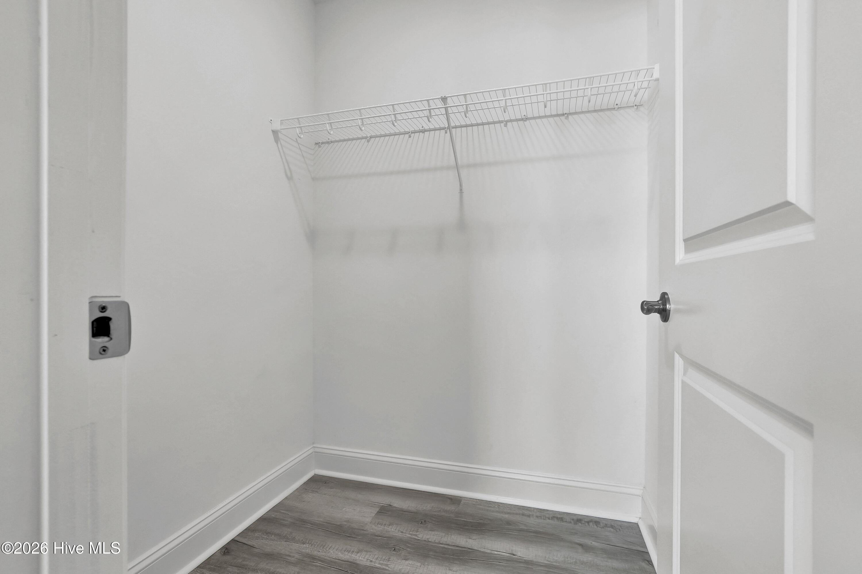 100538907 | Photo 31